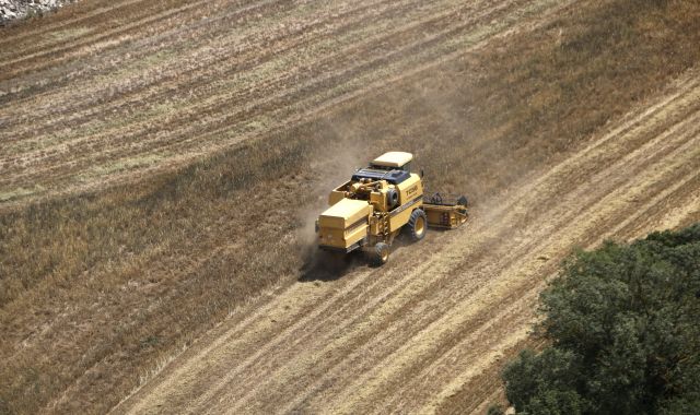 La Sequ A Extrema Ha Hecho Caer Un La Cosecha De Cereal En Catalunya