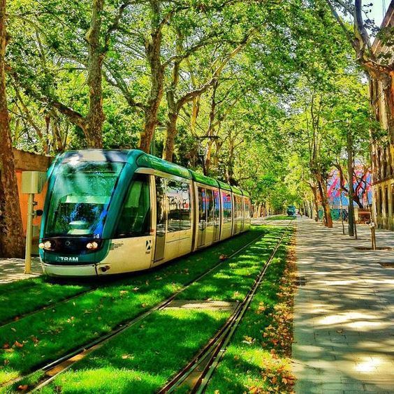 El tramvia al seu pas pel parc de la Ciutadella