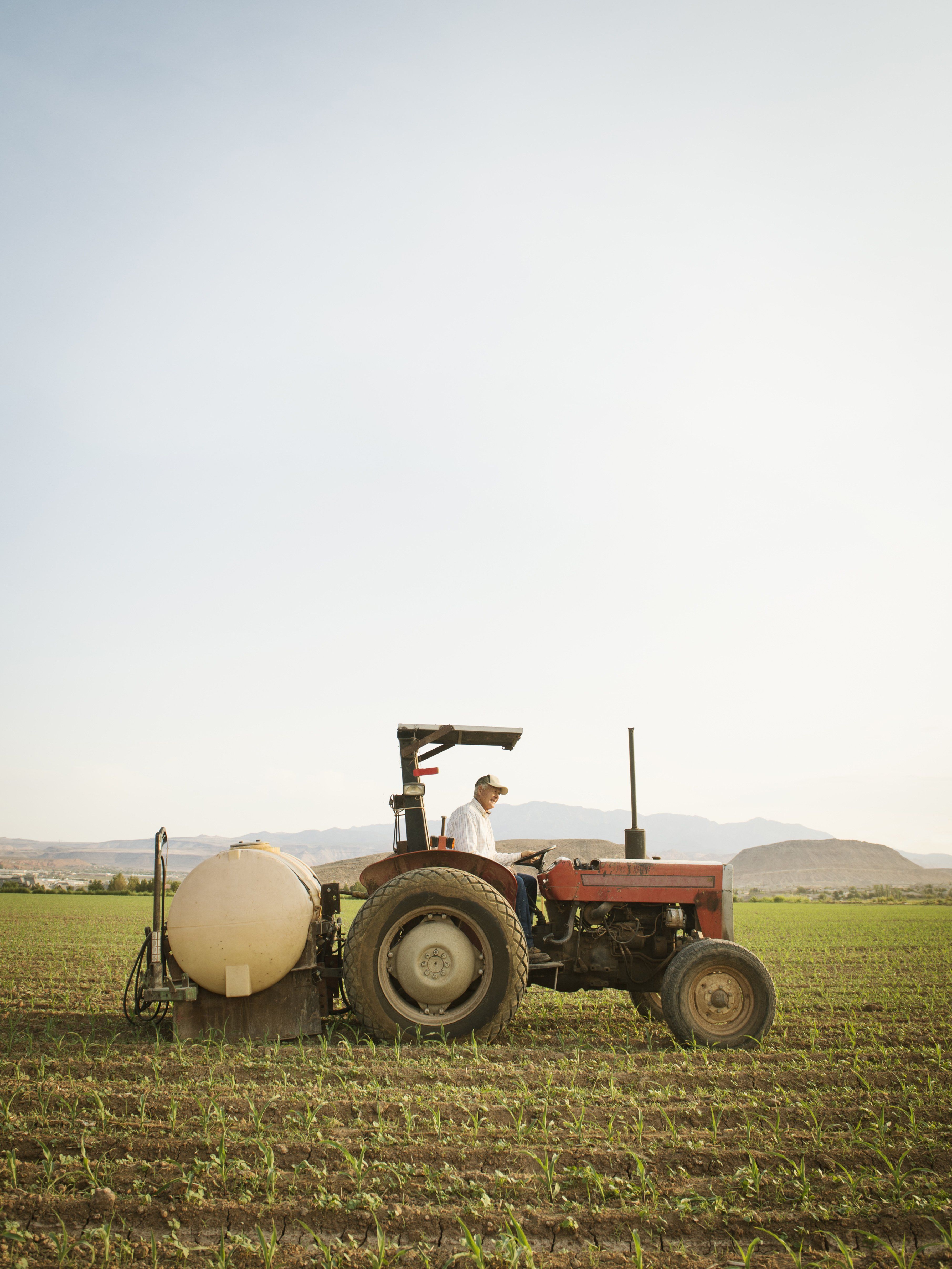 El sector agroalimentari és potent, però un gran desconegut