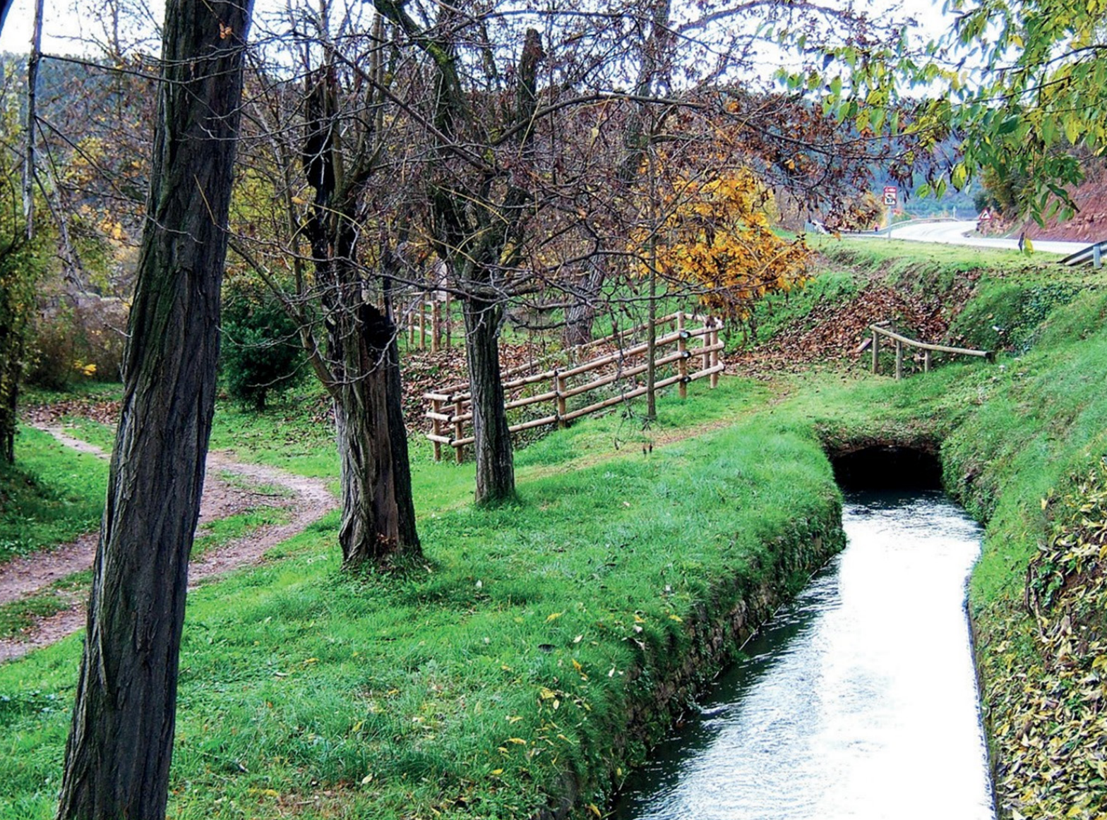 Les Vies Blaves faran transitables les lleres dels rius Llobregat, Anoia i Cardener