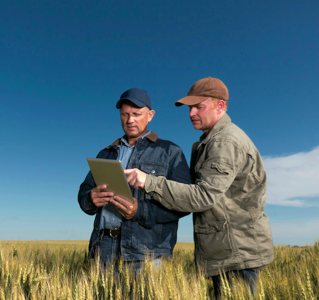 Los agricultores pueden hacer seguimiento de los a campo traviesa de la plataforma