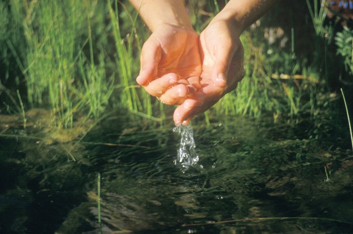 La gestió ambiental ha incorporat diversos neologismes els darrers anys