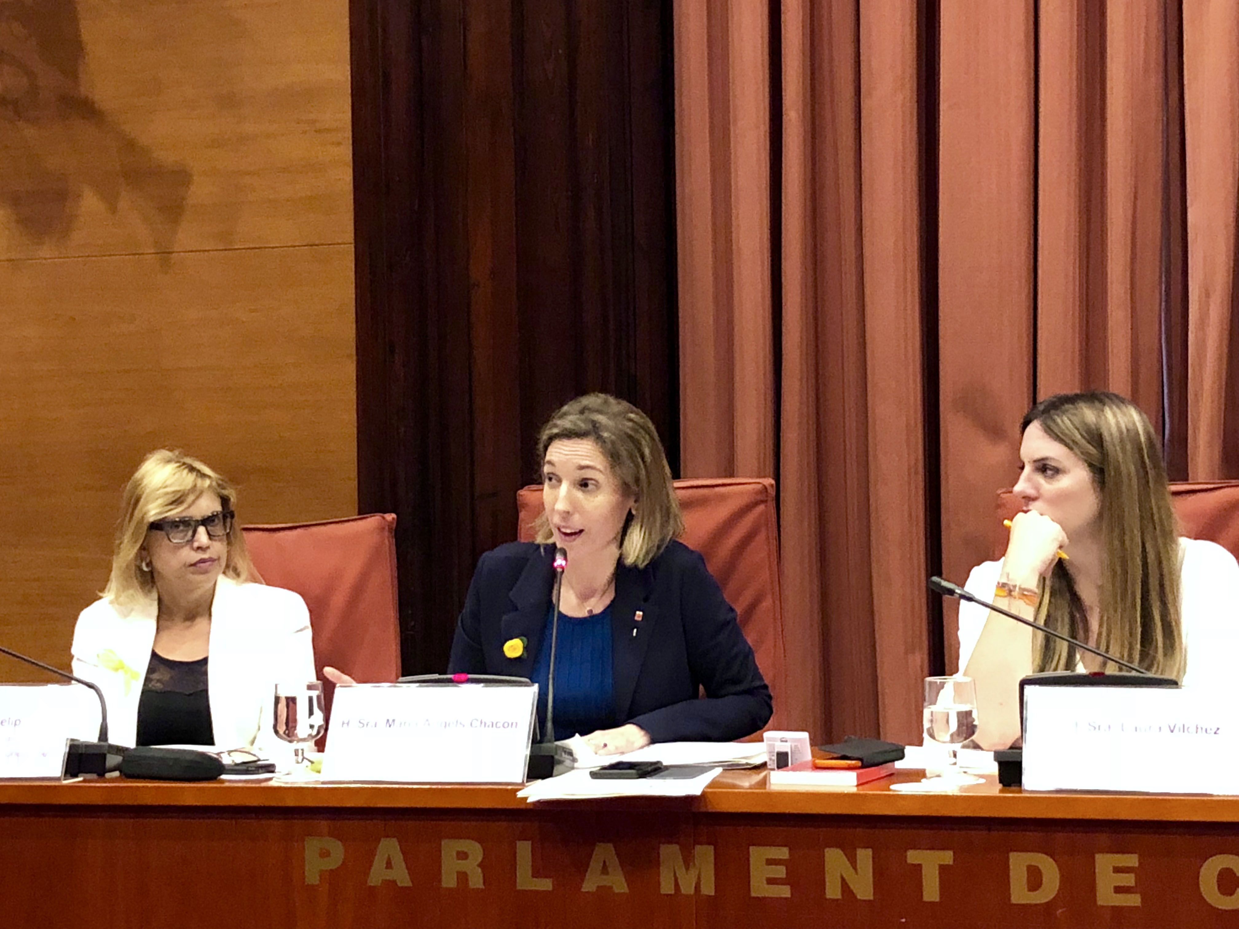 La consellera d'Empresa, Àngels Chacón, durant la seva compareixença al Parlament