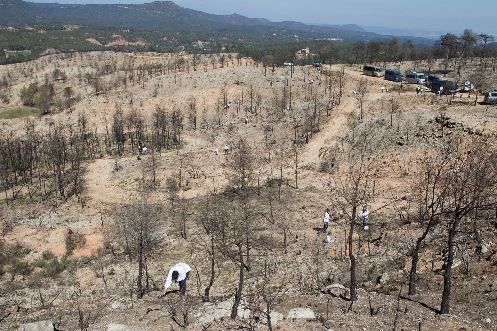 Imatge de terrenys on Eurofred planta arbres | Cedida