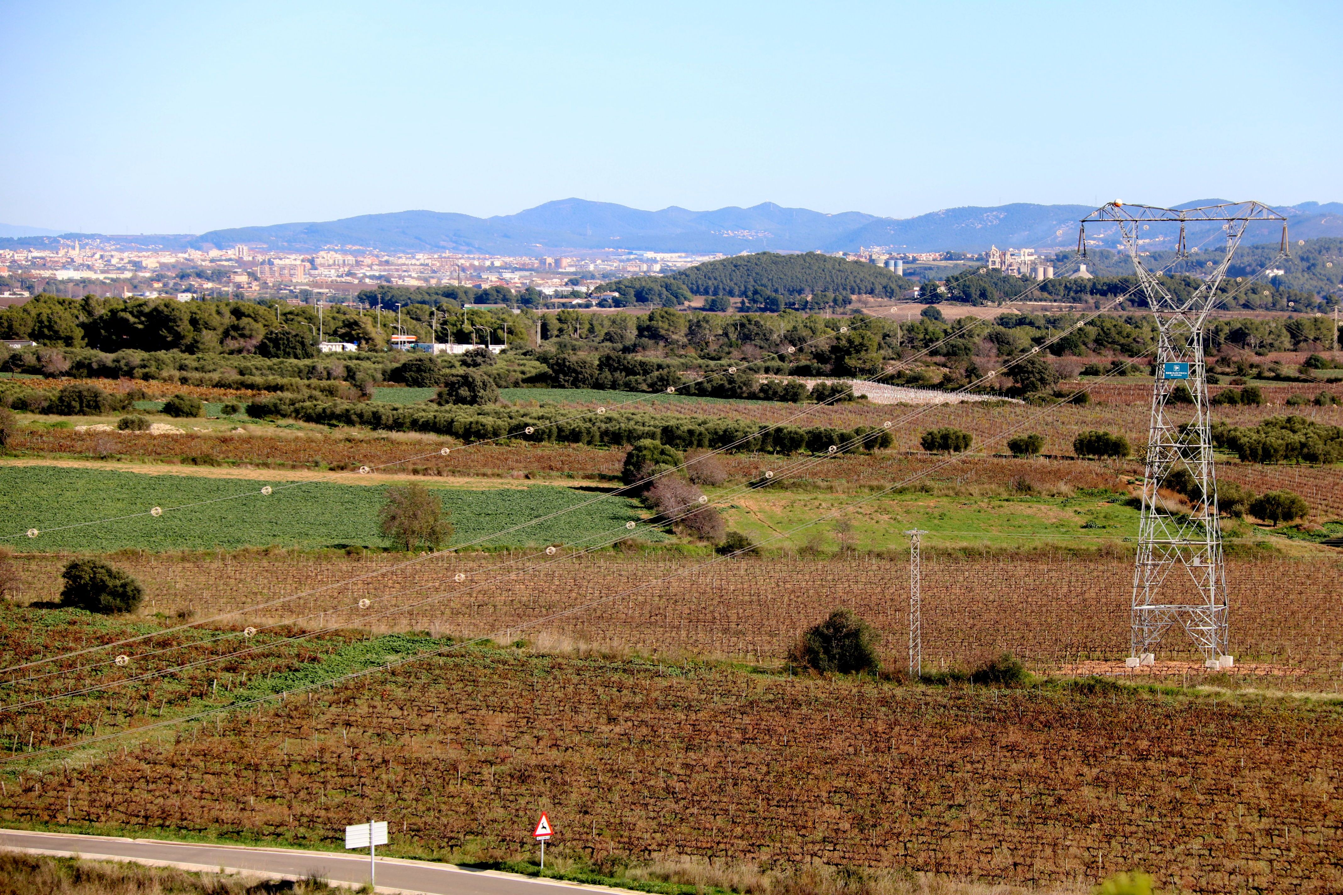 Els terrenys de Banyeres del Penedès on Cimalsa preveu la construcció del Logis Penedès | ACN