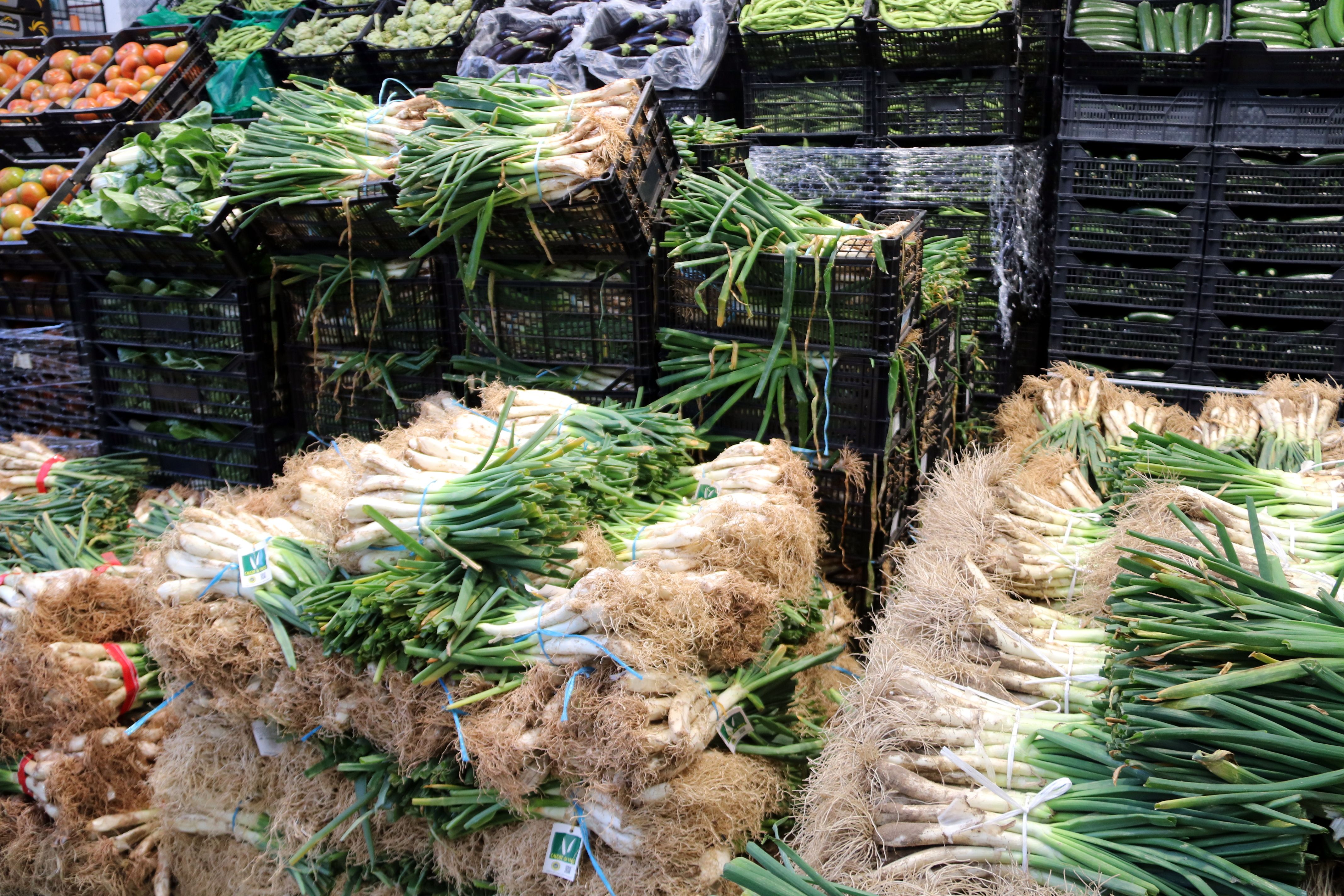 Manats de calçots a punt per ser venuts a Mercabarna | ACN