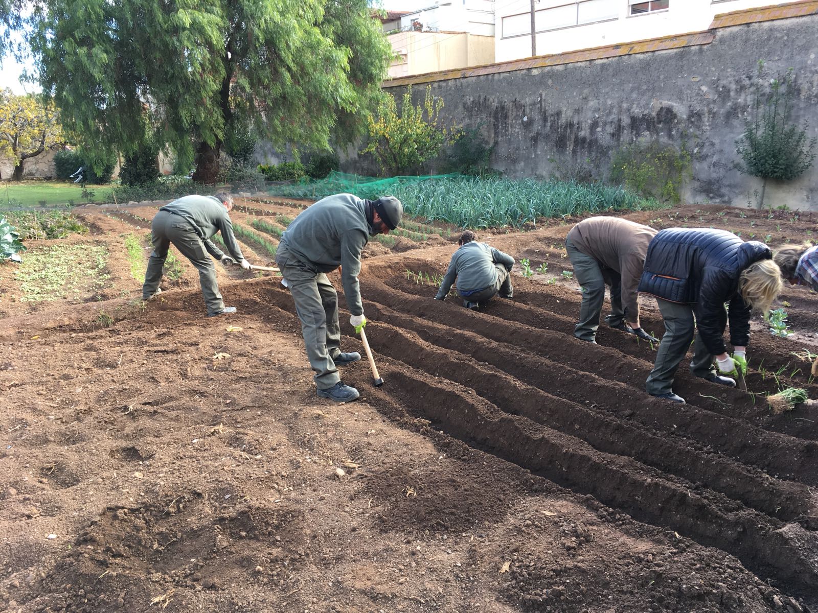 Els beneficis de la venda de la roba recuperada per Caprabo i Humana es destinen a horts socials