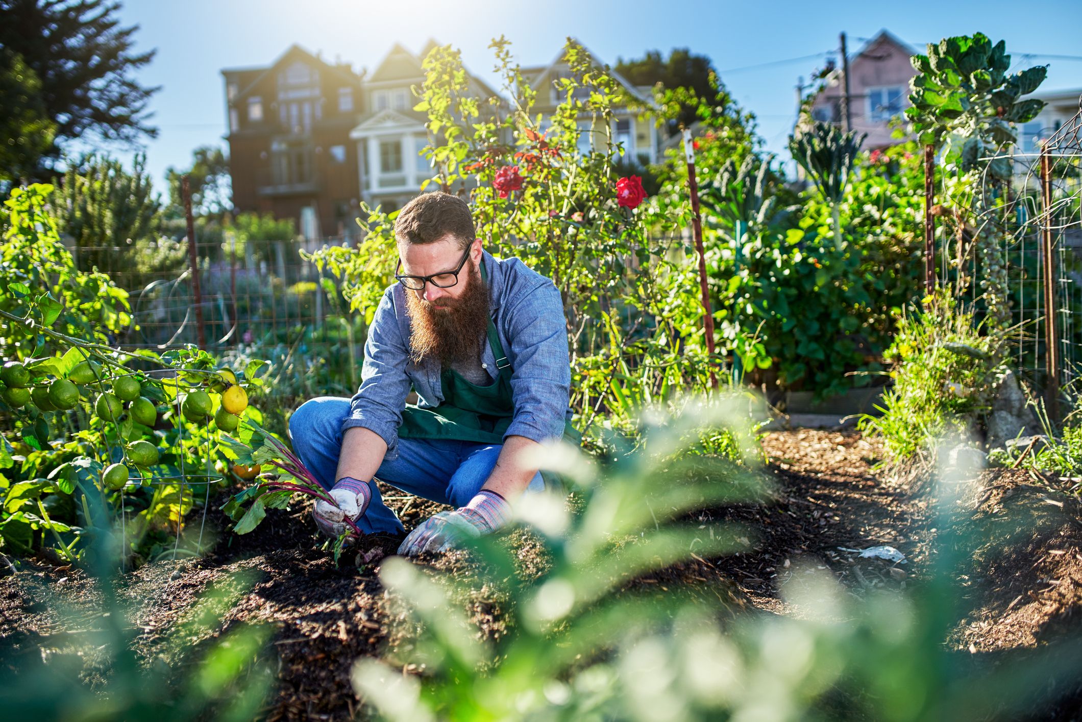 Germina, més enllà de huertos urbanos para 'hipsters' |iStock