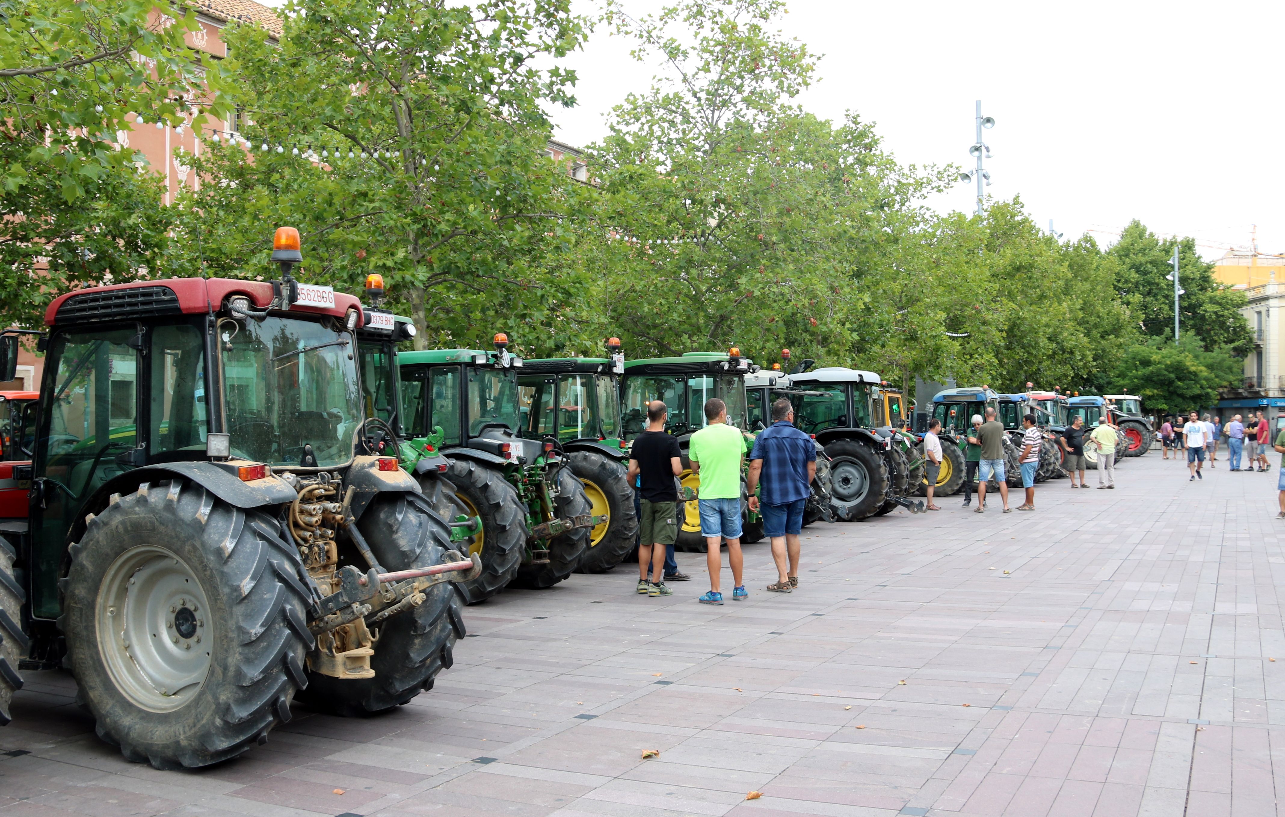 Corpinnat mujer apoyo a las reivindicaciones de los viticultors del Penedès ante la bajada del precio de la uva | ACN