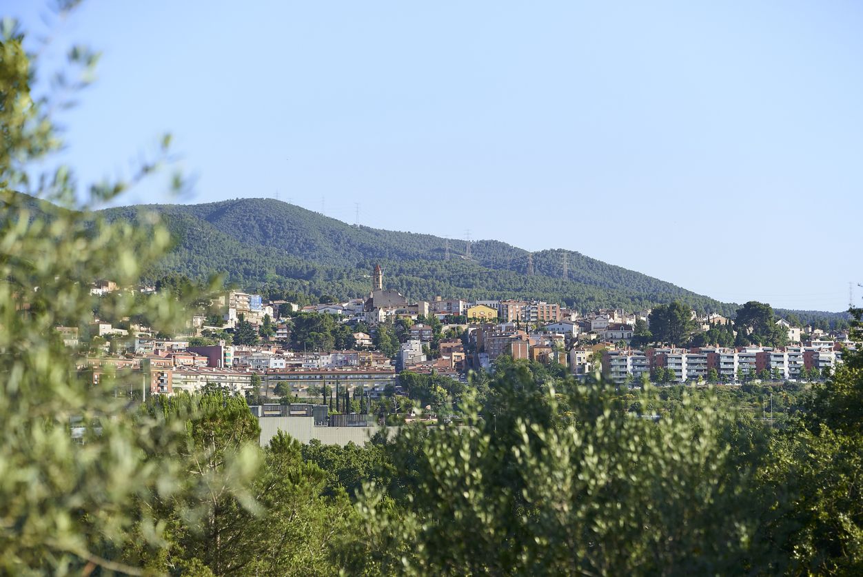 El Gran Penedès viu una major feblesa del creixement | iStock