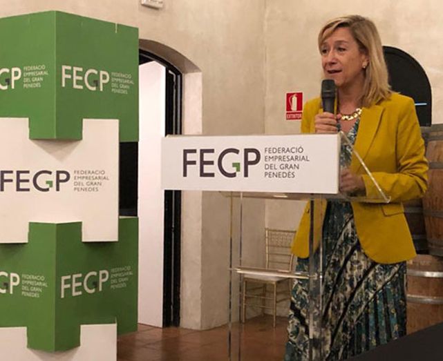 Neus Lloveras durant la seva intervenció després de les eleccions a la presidència de la FEGP