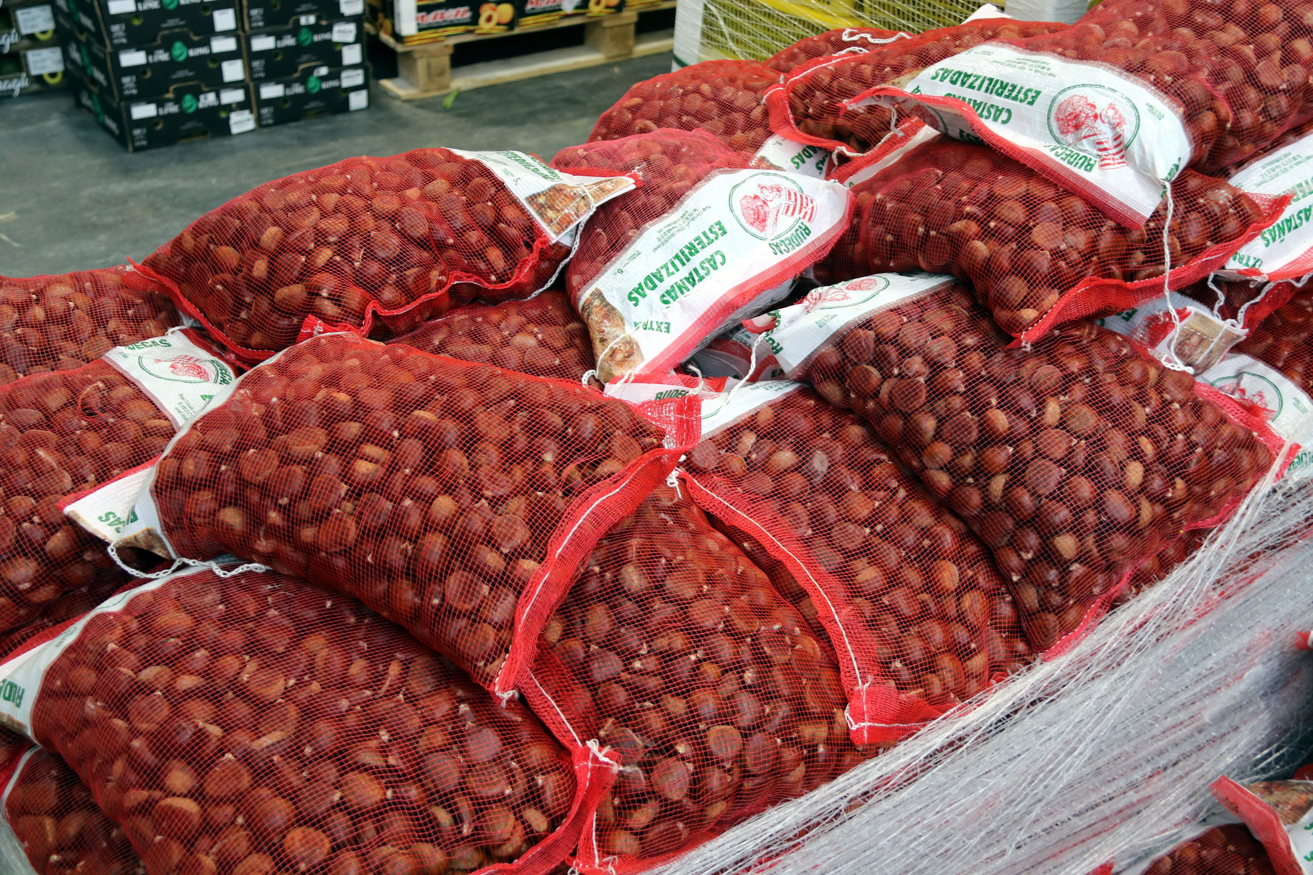 Castañas preparadas para vender a un almacén de Mercabarna | ACN