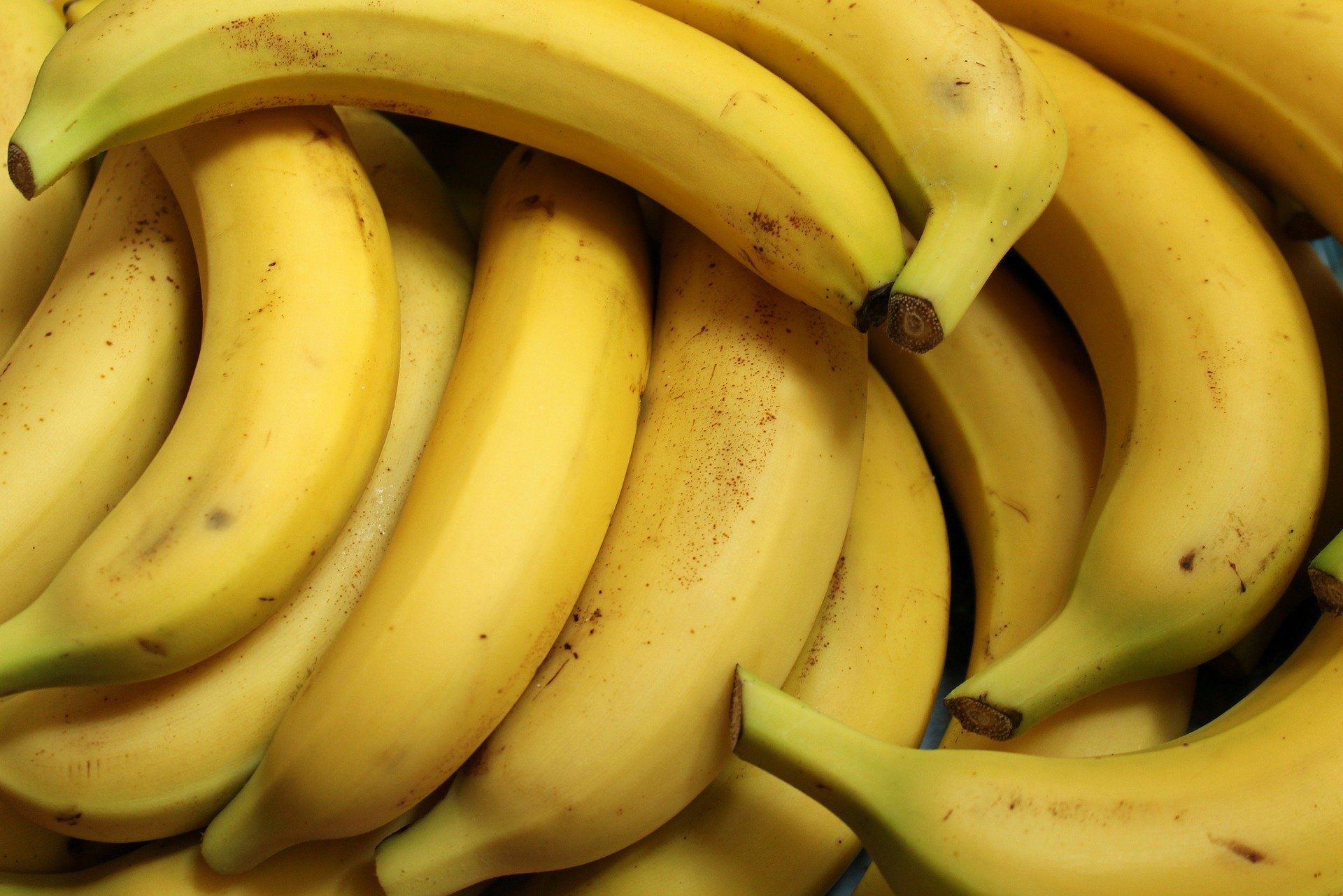 L'augment de les tempratures ha afavorit l'increment de la producció de plàtan i banana | CC0