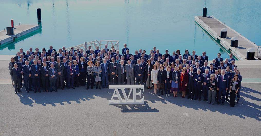 Foto de familia de la Asamblea de AVE 2020 | Cedida