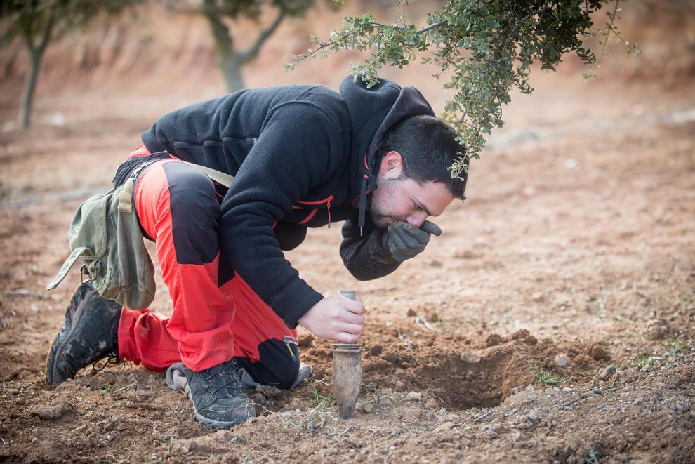 Un agricultor observant el producte en terra | Cedida 