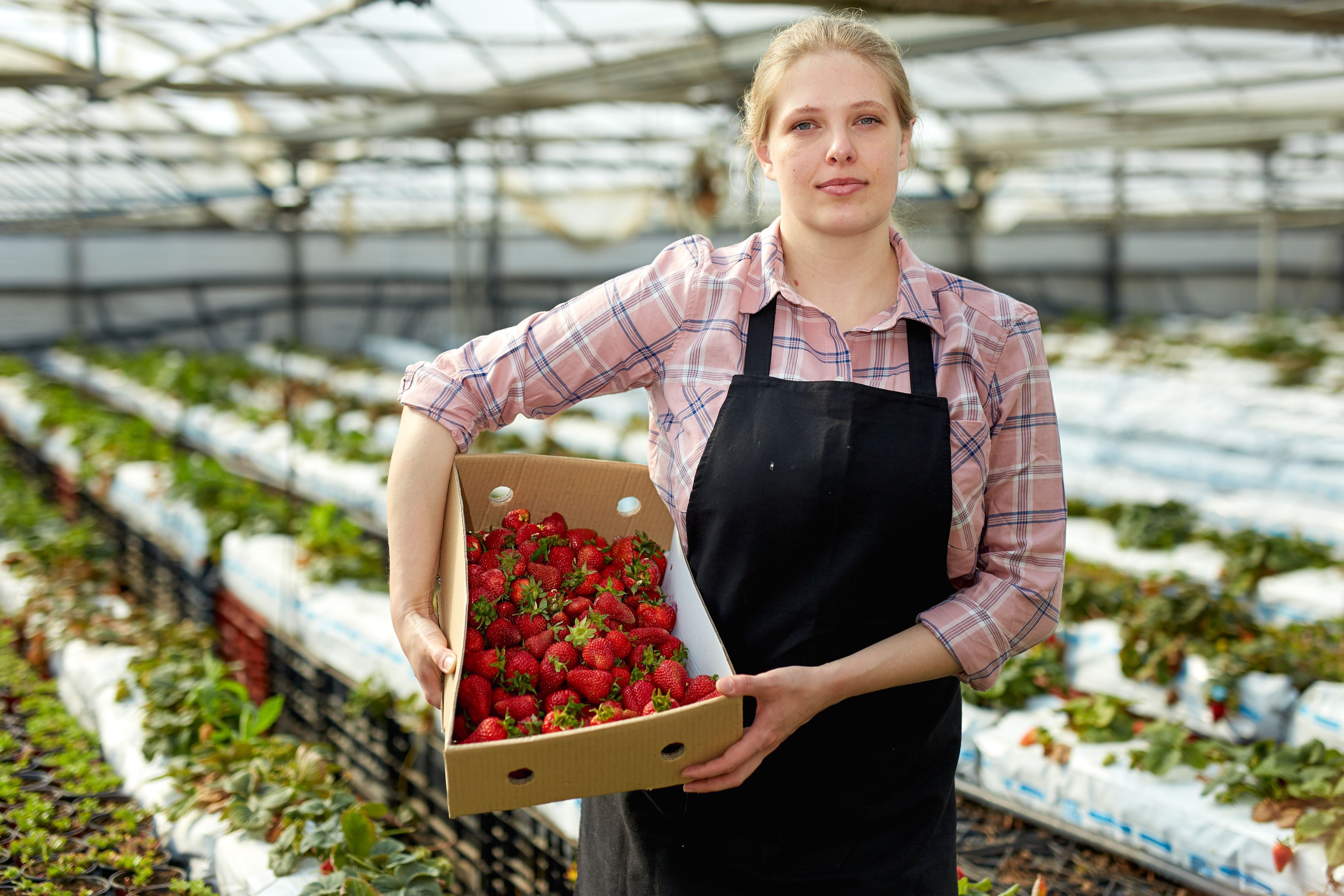 Gastrocampo, una plataforma que elimina los intermediarios entre productor y consumidor | iStock