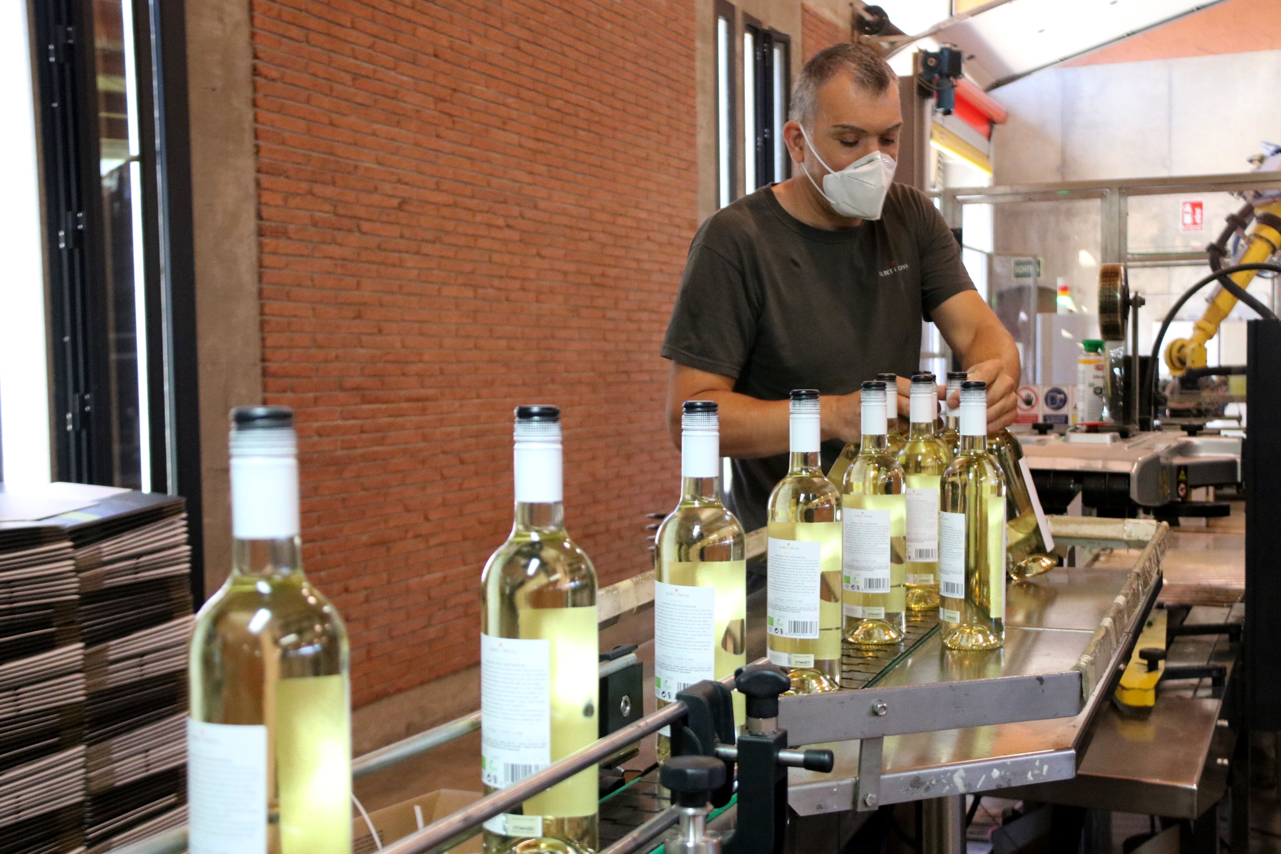 Un treballador d'un celler DO Penedès | ACN