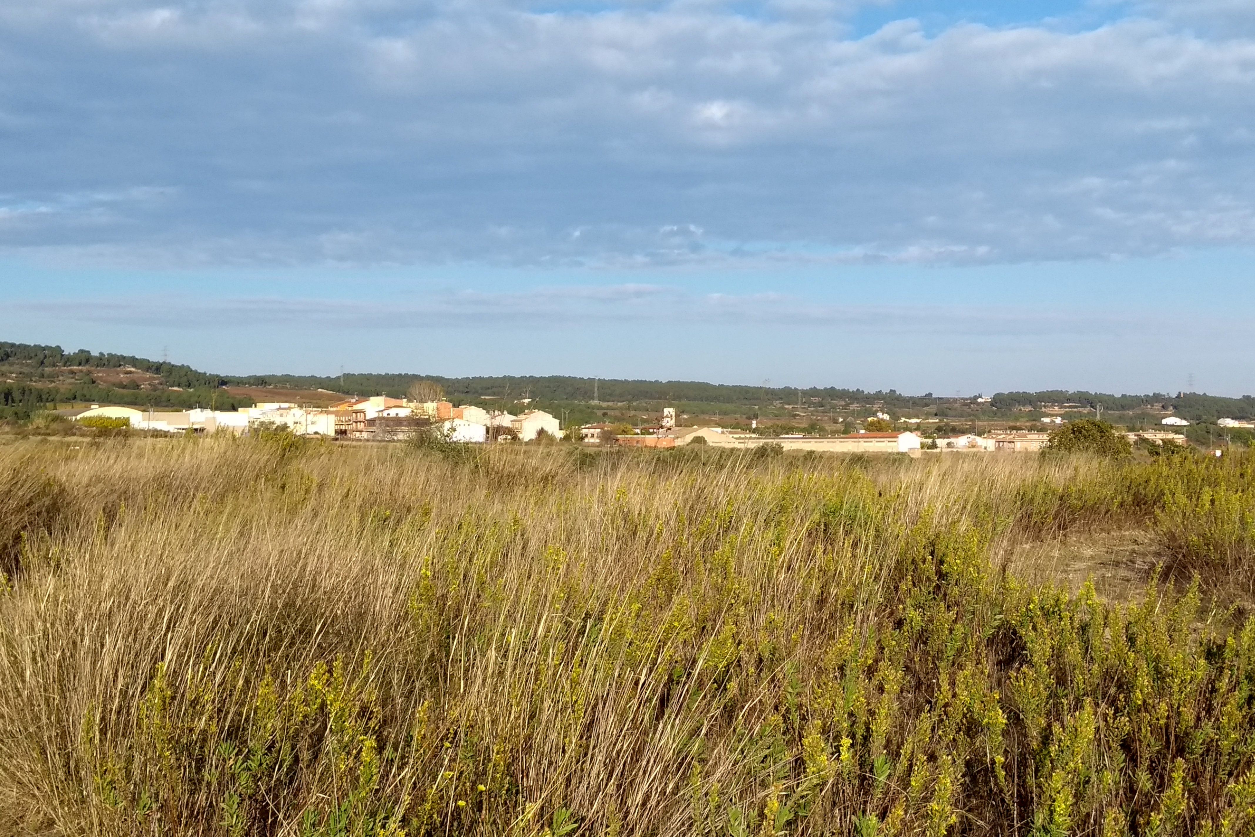 Unos terrenos del Plan del Penedès | ACN