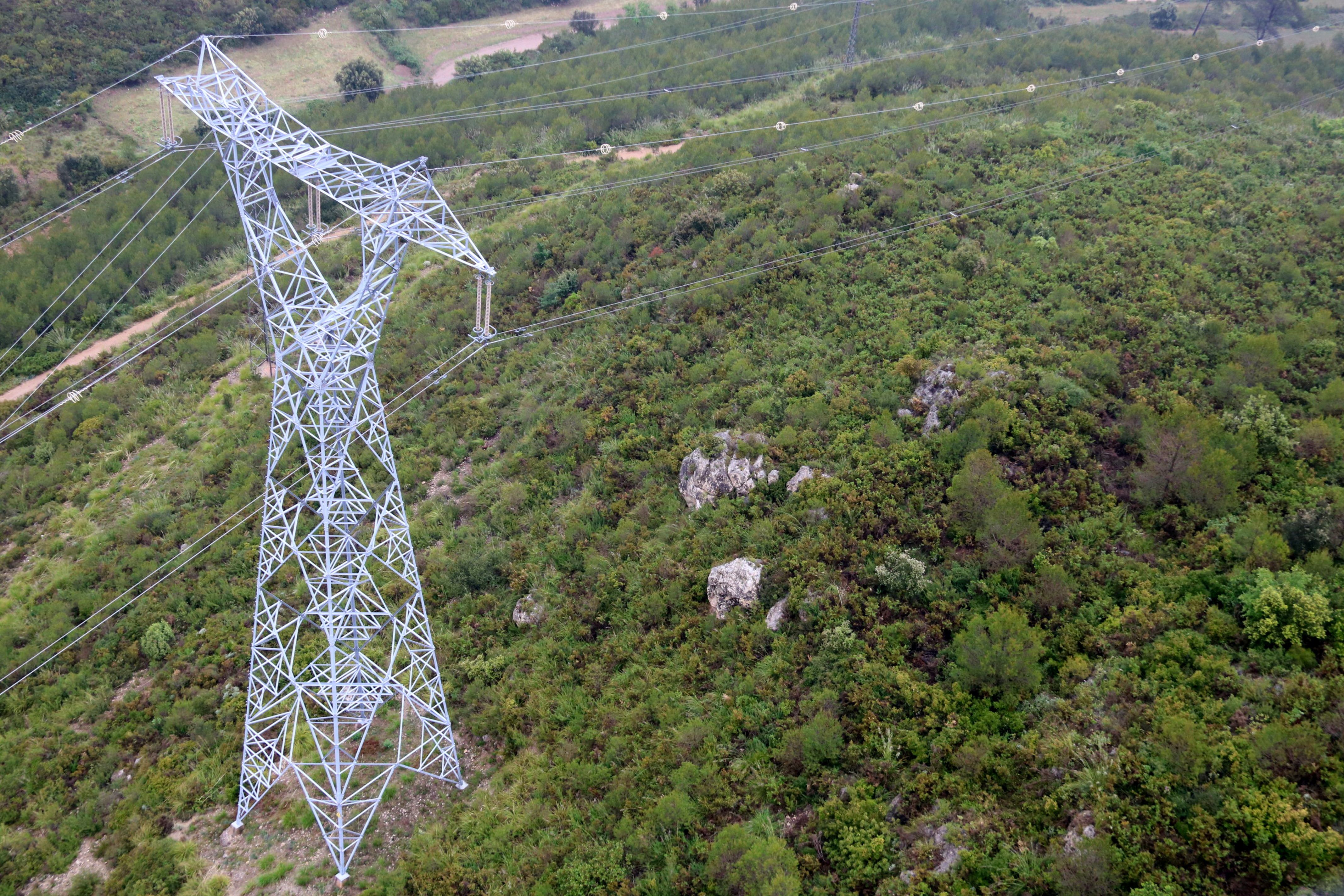 El viento hace generar més energía eòlica, que baja el precio de la luz | ACN