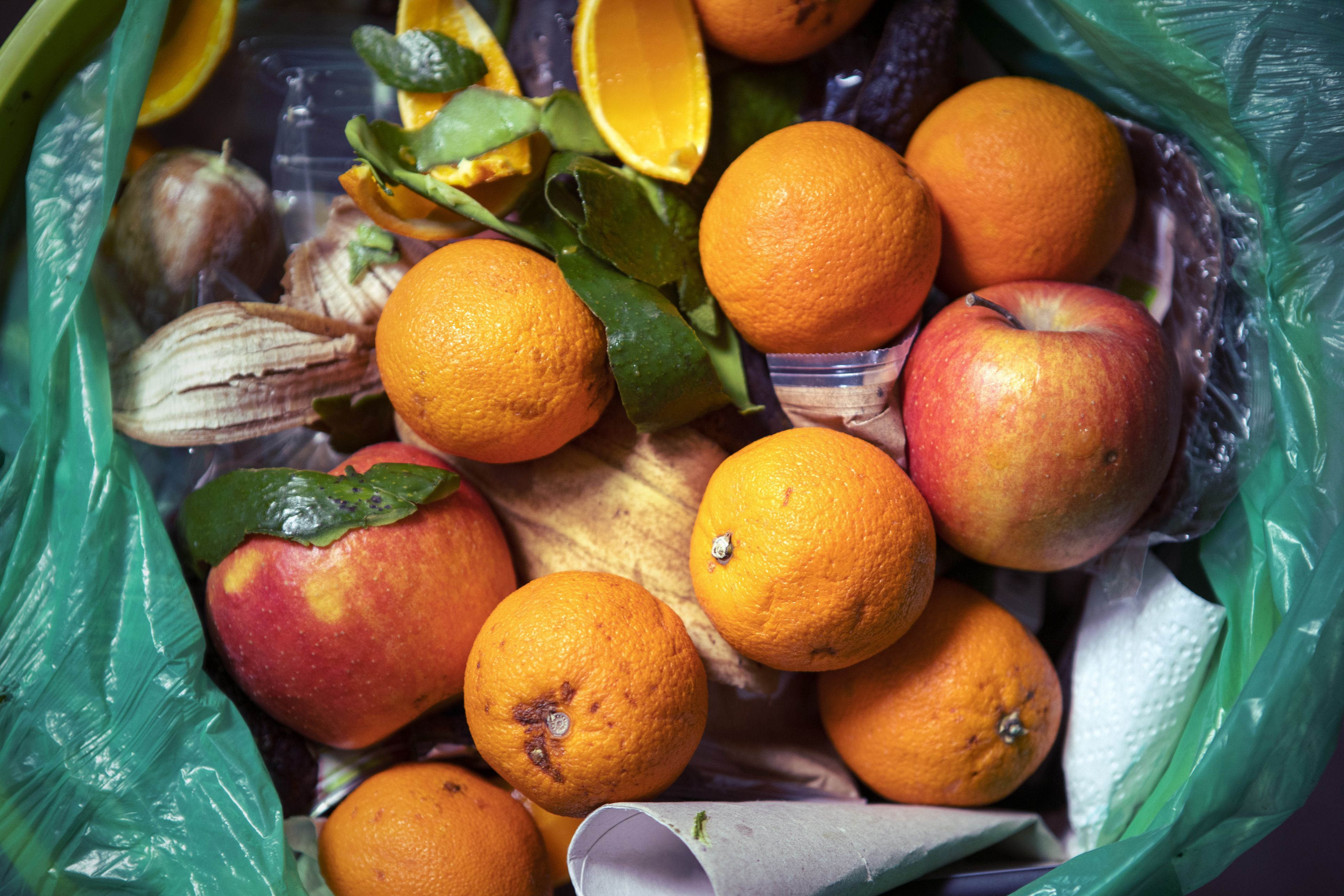 És importante utilizar la innovació para reducir el derroche alimentario y evitar que el planeta pase hambre | iStock