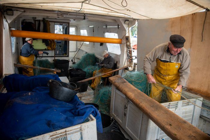 Les confraries de Pescadors i les seves federacions són un sector clau, segons el Departament d'Agricultura | Cedida