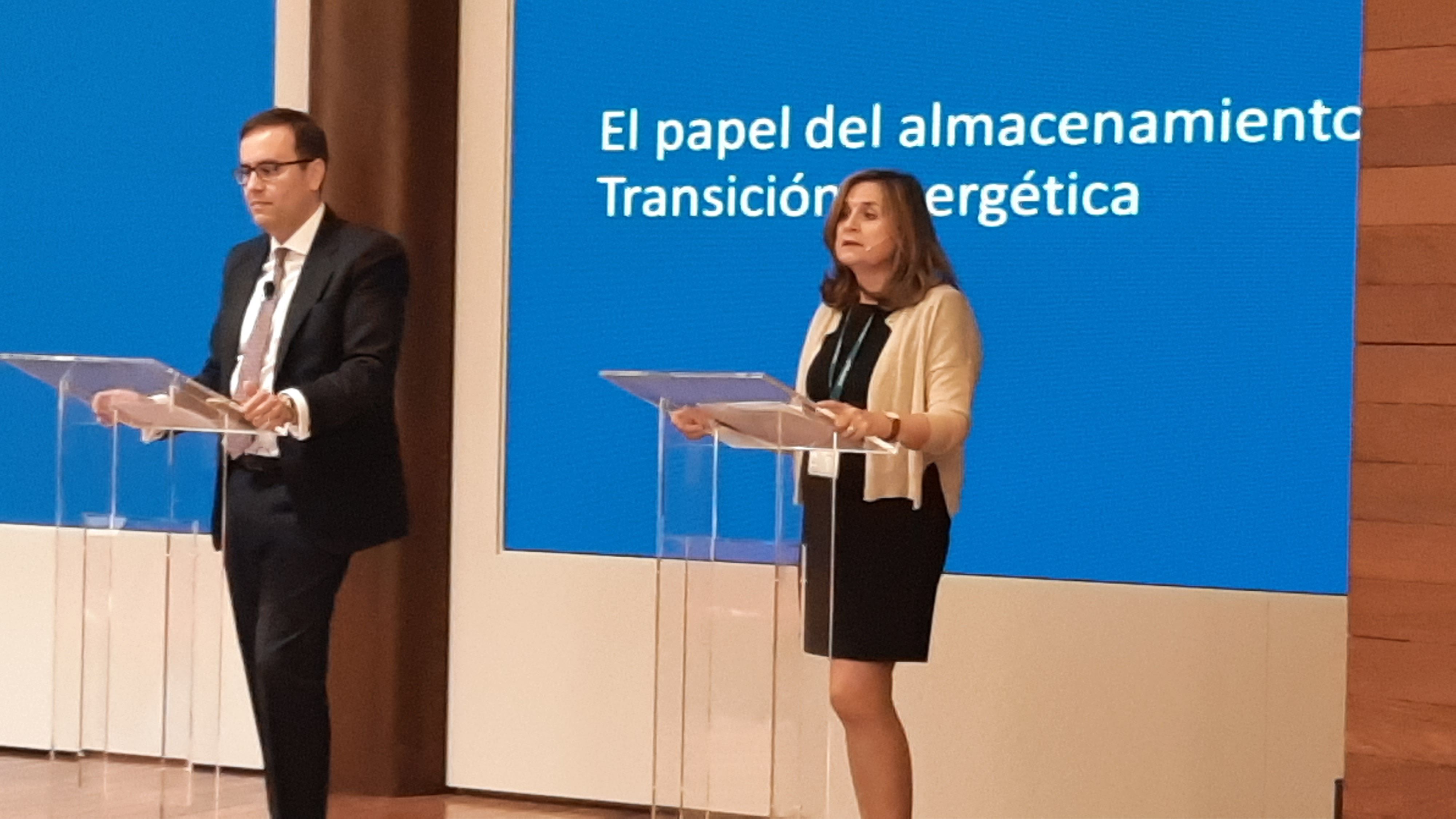 La presentación del informe de almacenamiento de la Fundación Naturgy | Cedida