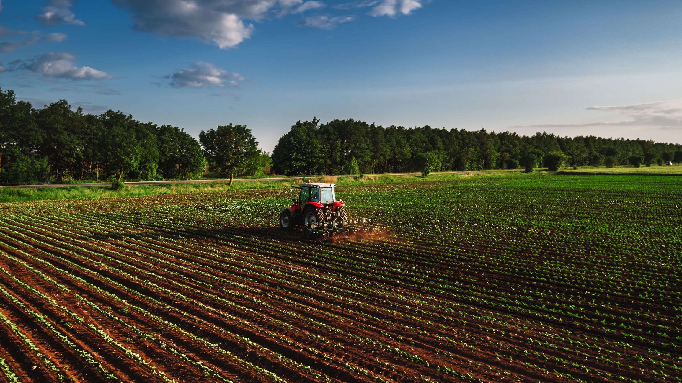 La UE impulsa la Política Agriàría Común | iStock