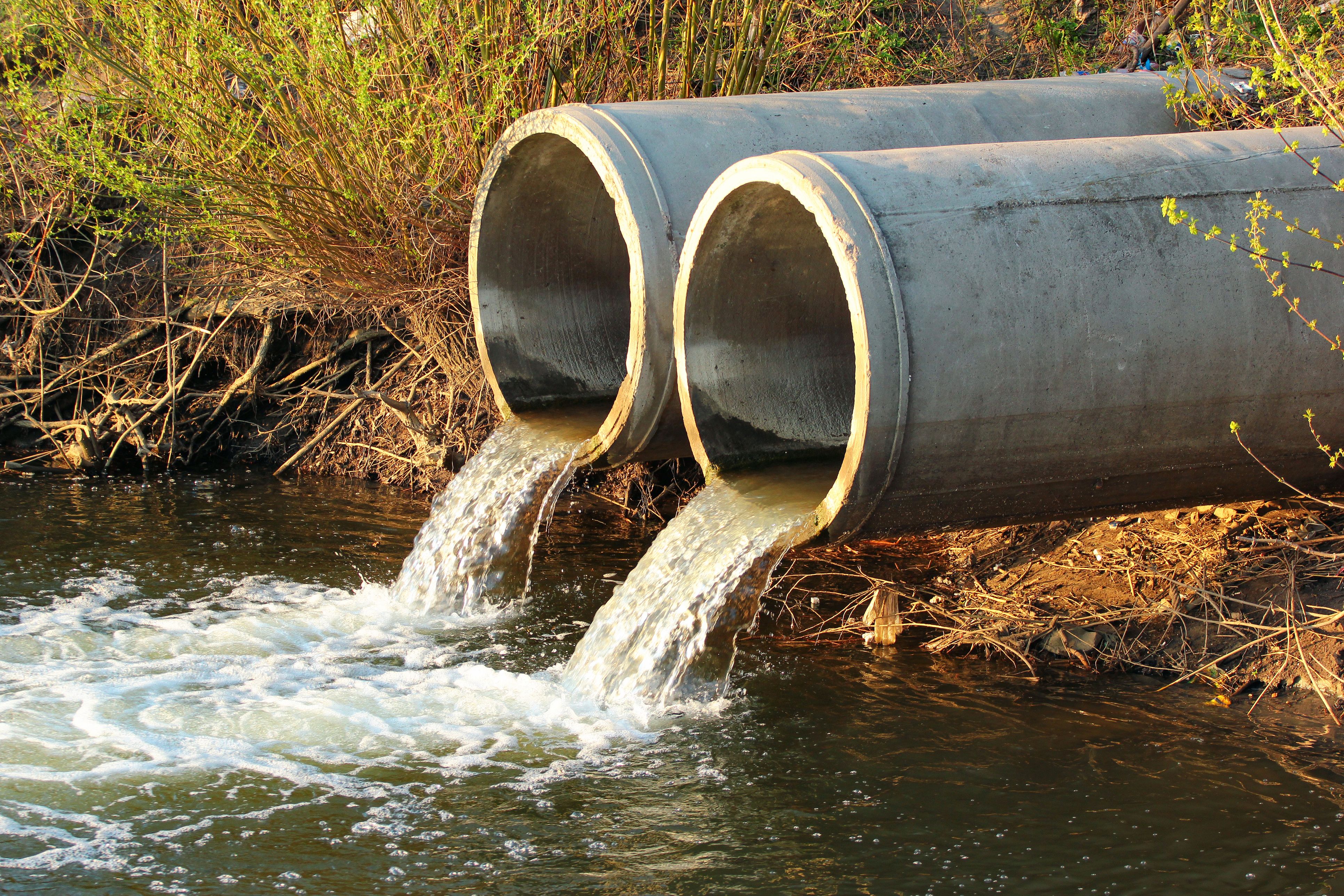 El software de Fregata Space analiza el nivel de contaminación del agua | iStock