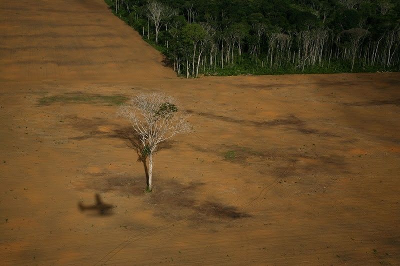 Cargill es "la peor empresa del mundo" según Mighty Earth por su abuso de los entornos naturales del Amazonas, entre otras prácticas | EP