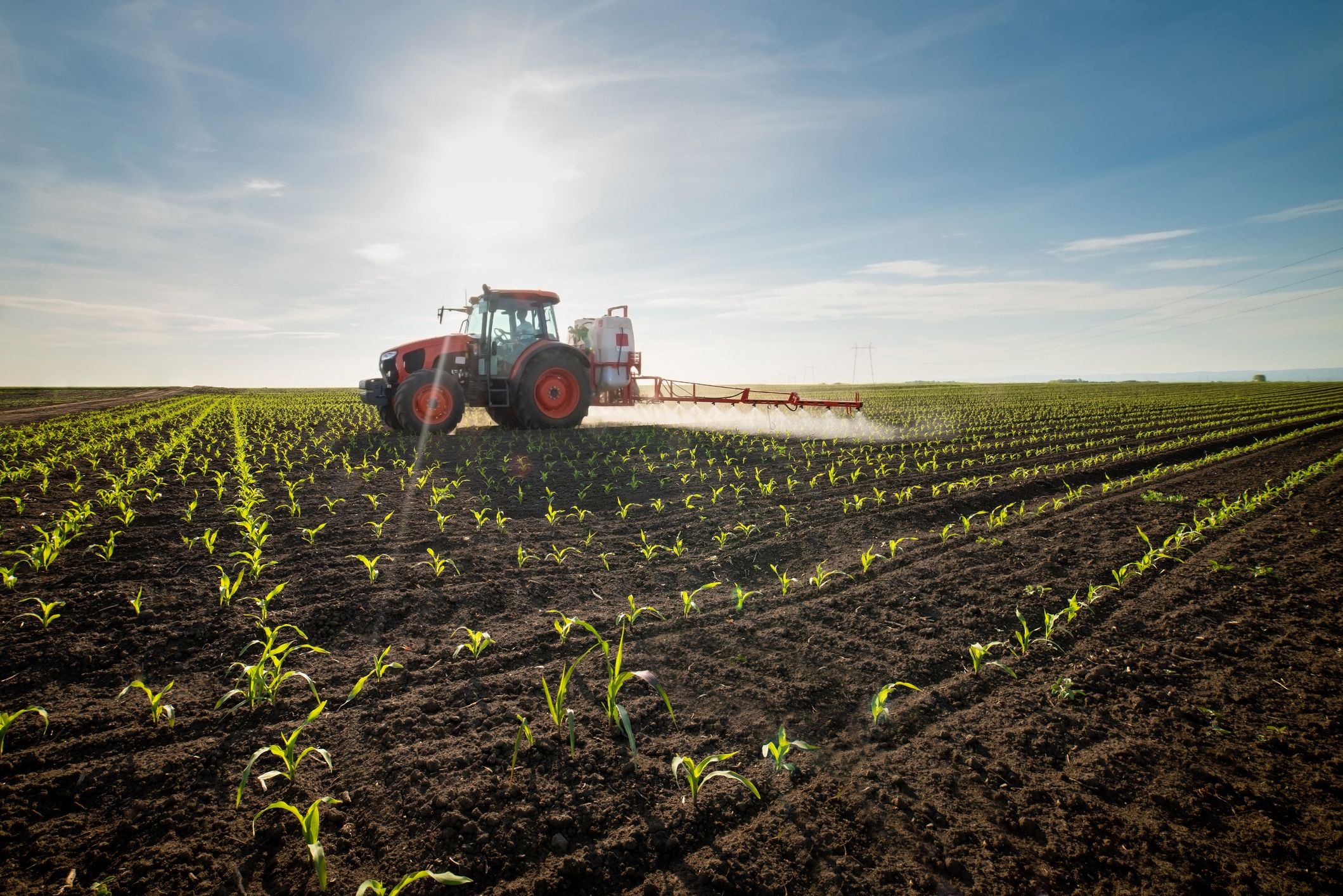 Marco Taribo, CEO de Camarasa Fruits y tercera generación de la empresa familiar, sentía predilección por el campo y los tractores desde muy pequeño | iStock