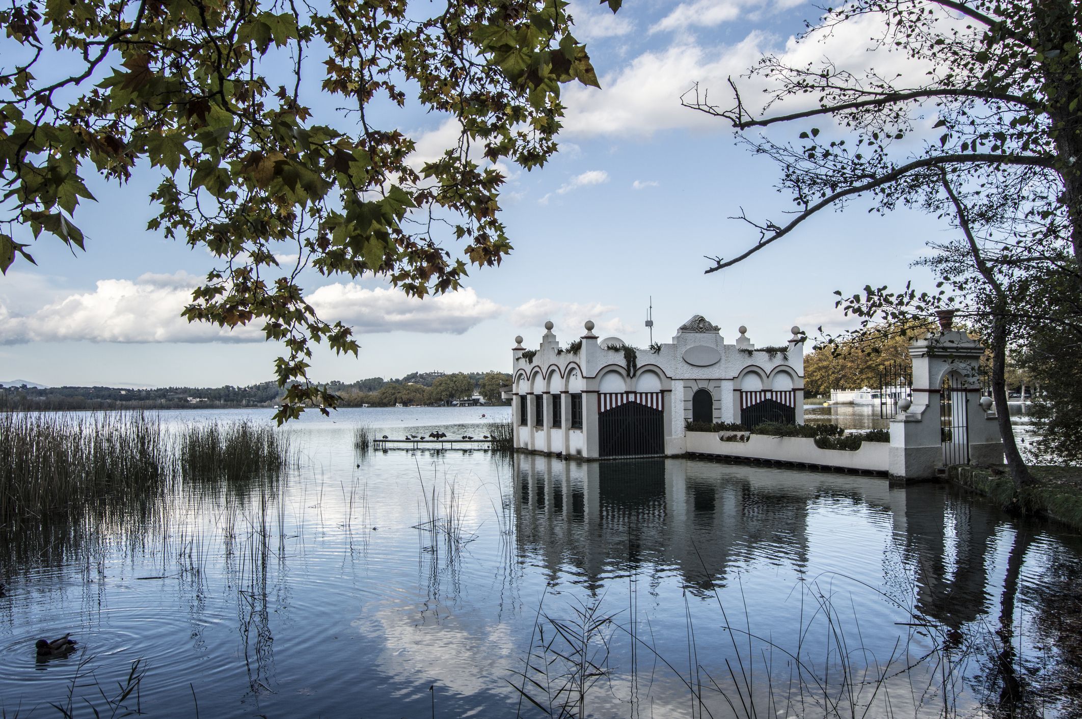 GoodGut se inspira en l'Estany de Banyoles para crear pruebas de diagnóstico de enfermedades digestivas | iStock