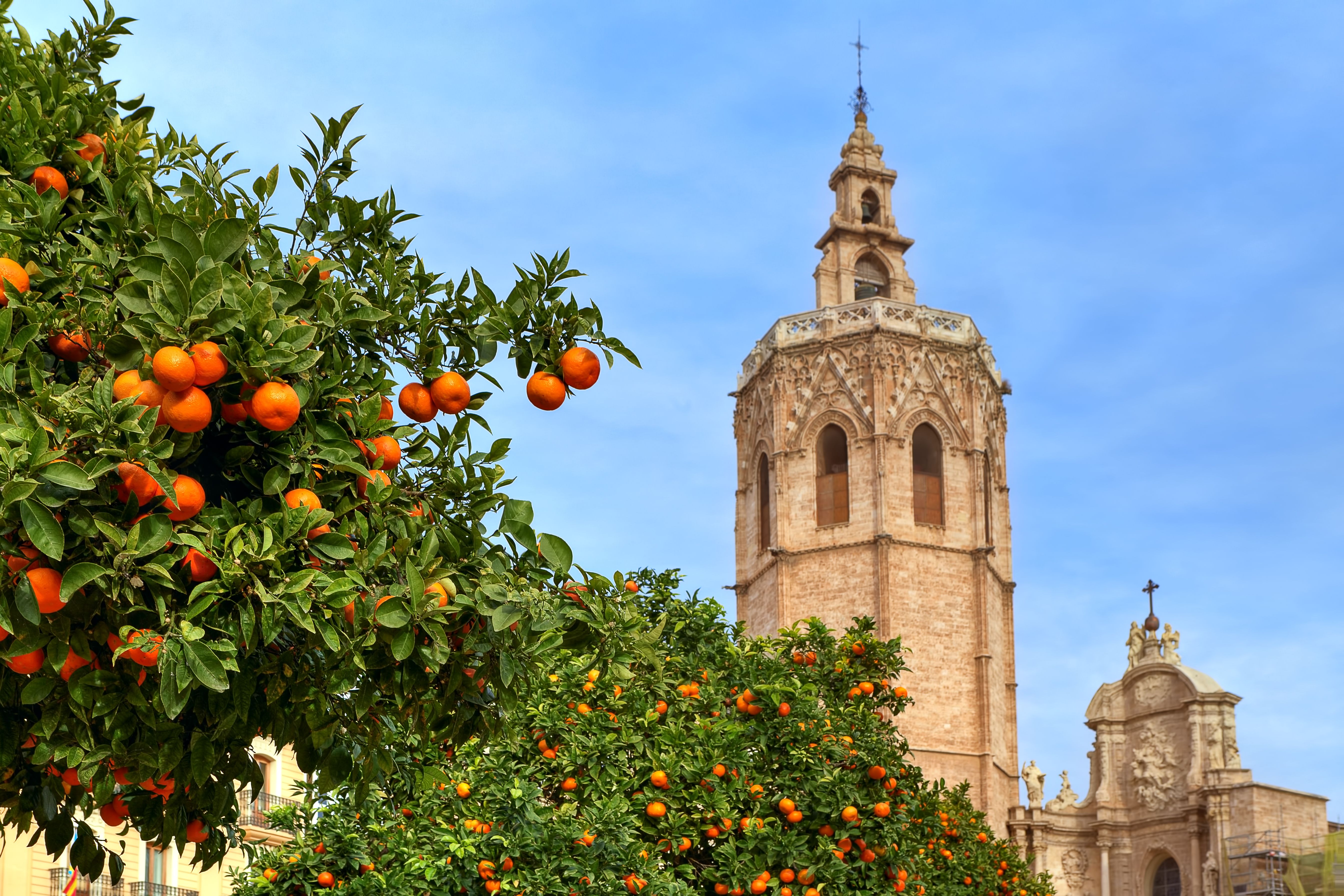 Imagen de la catedral de Valencia | iStock