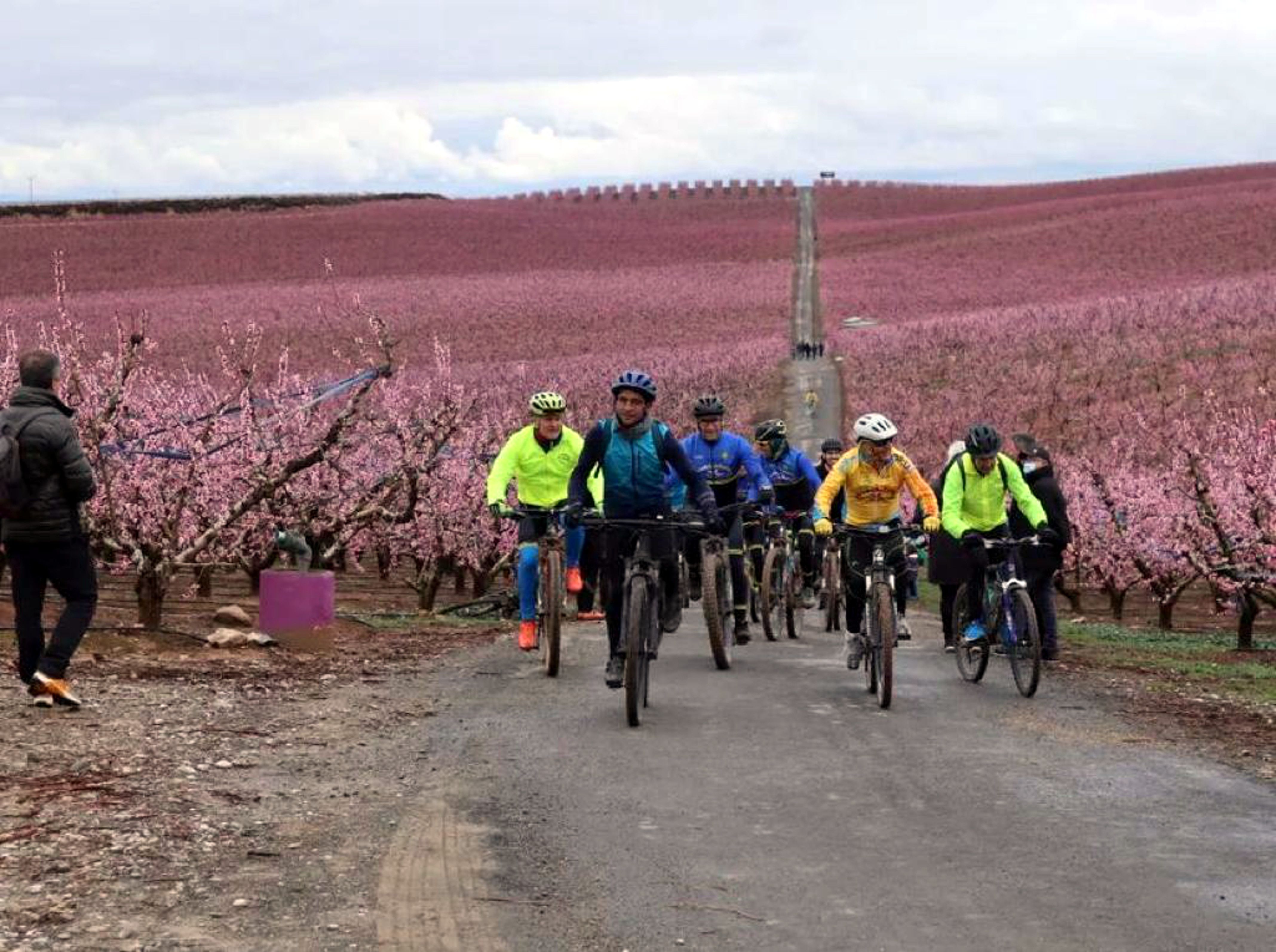 Un grup de ciclistes visitant els camps florits d'Aitona | ACN