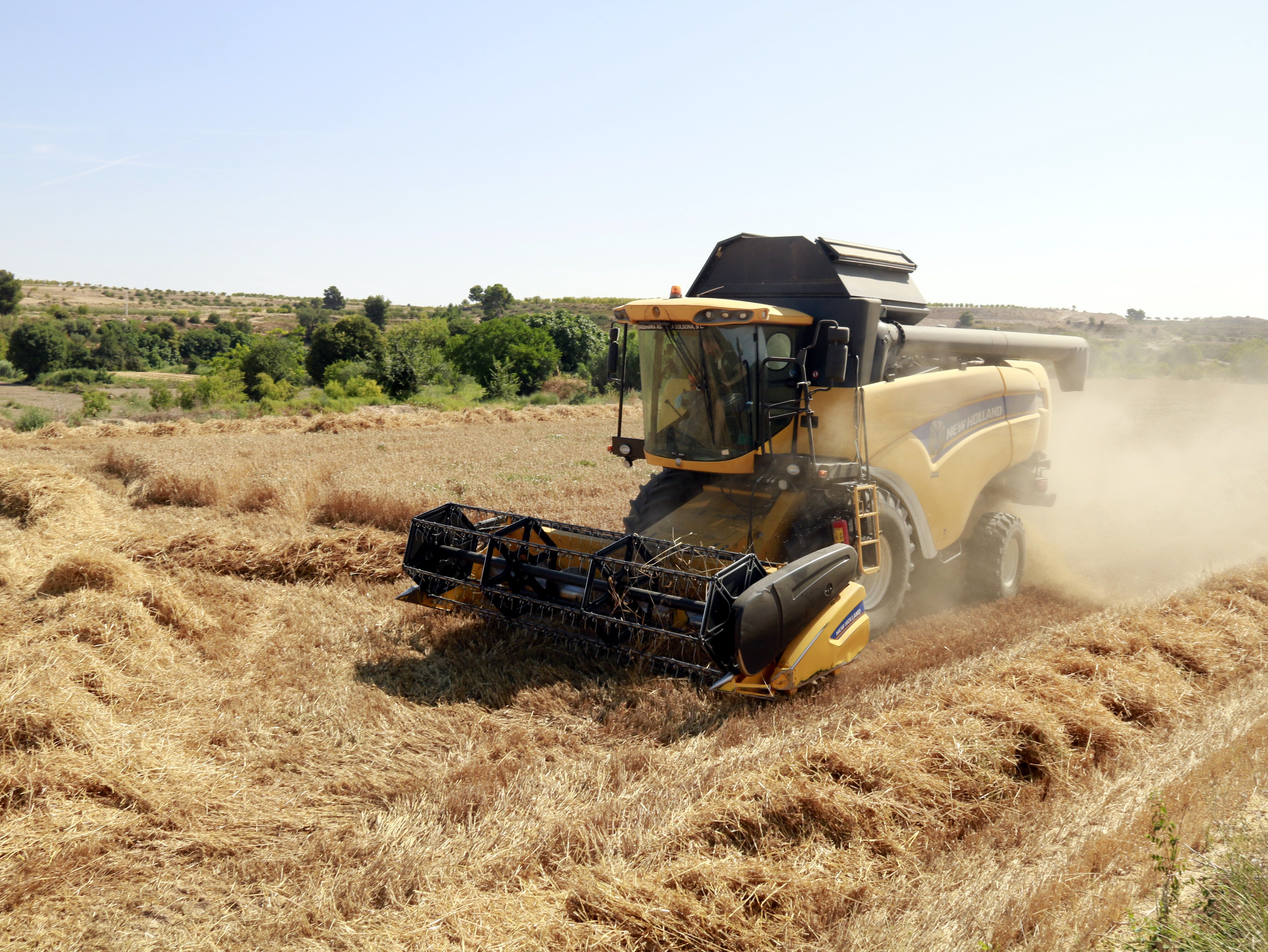 Una màquina recol·lectora de Blat a Arbeca (Les Garrigues) | ACN