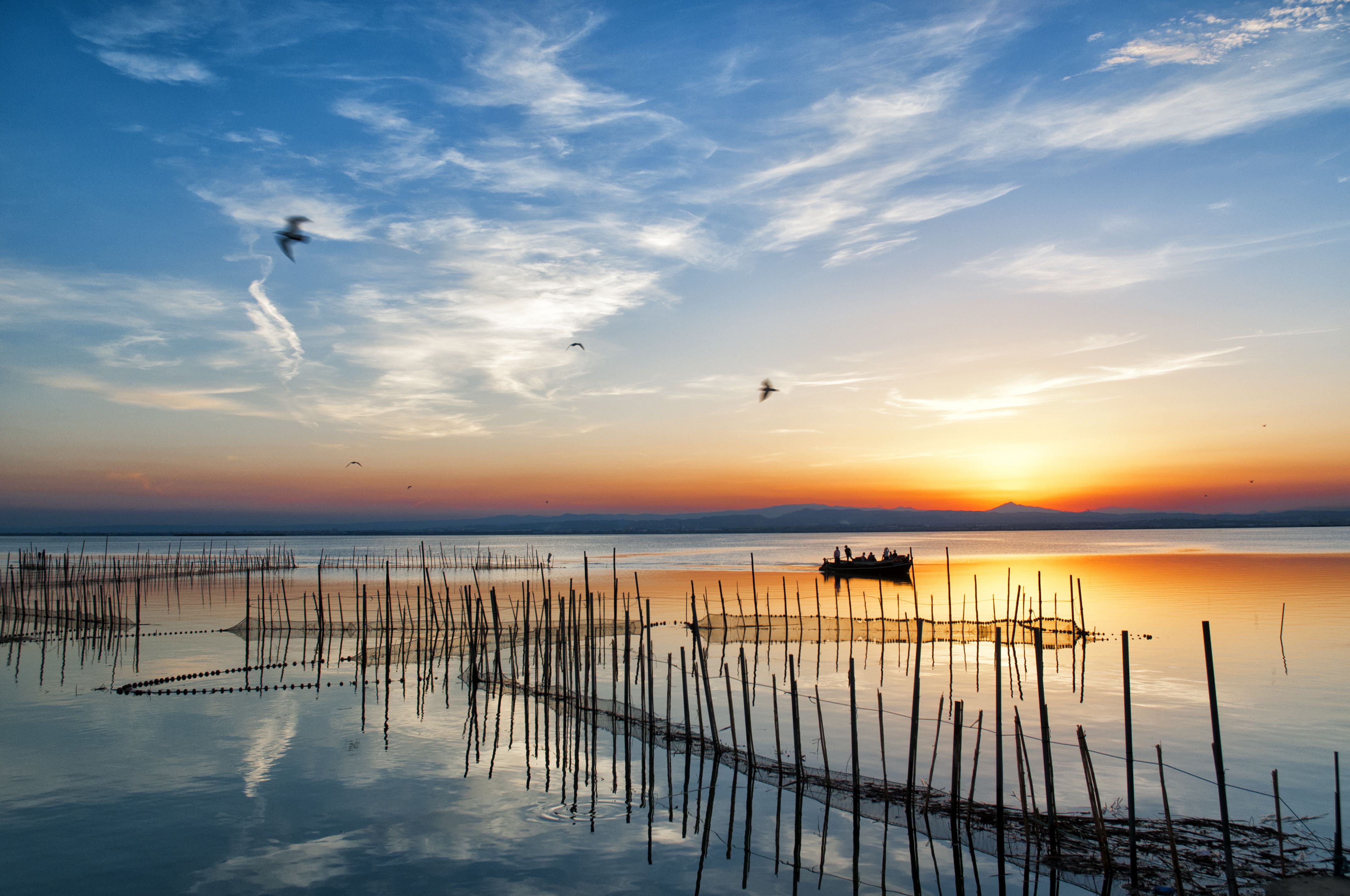 La Albufera, Valencia | iStock