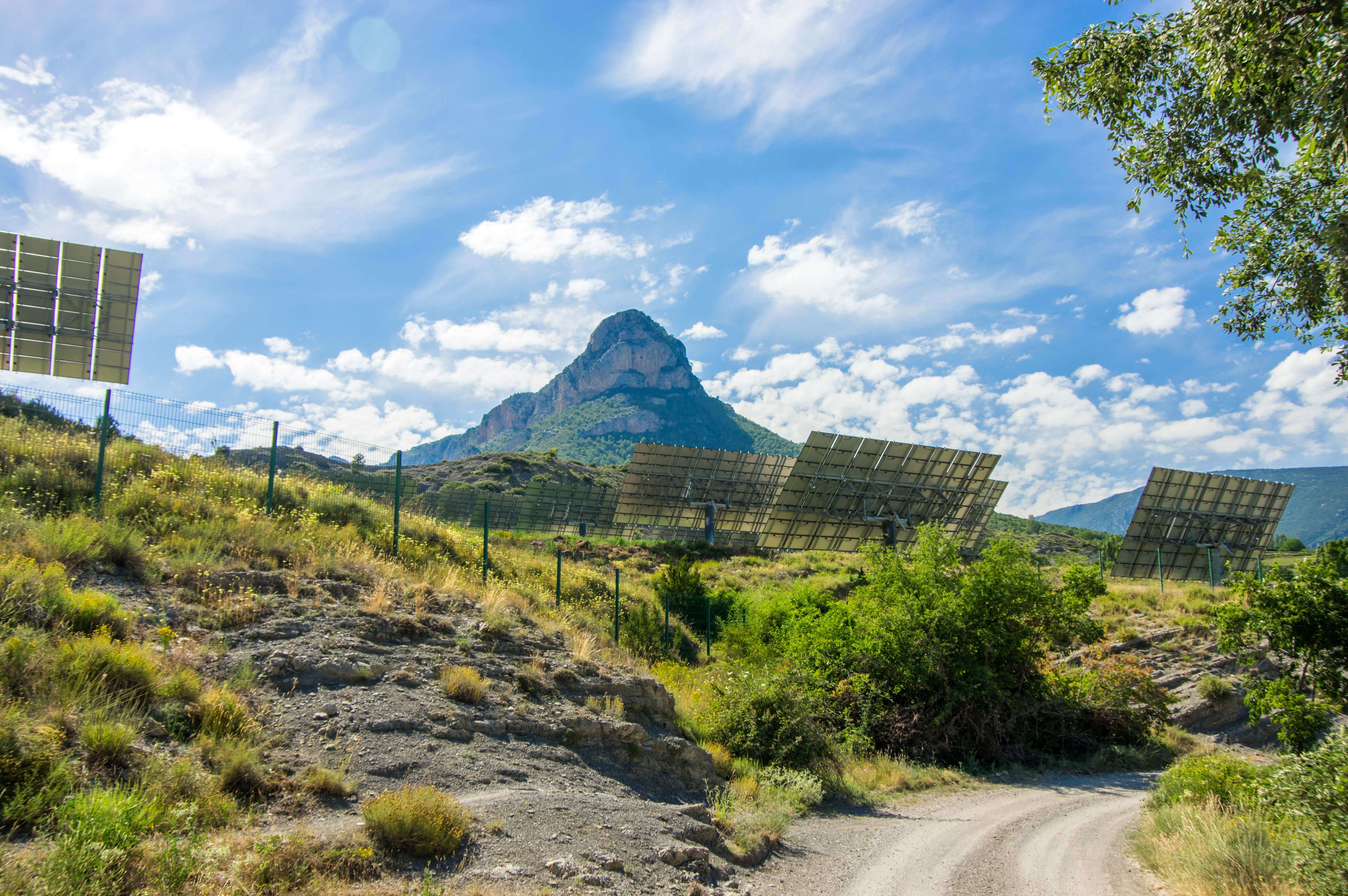 Paneles solares en la provincia de Lleida |iStock