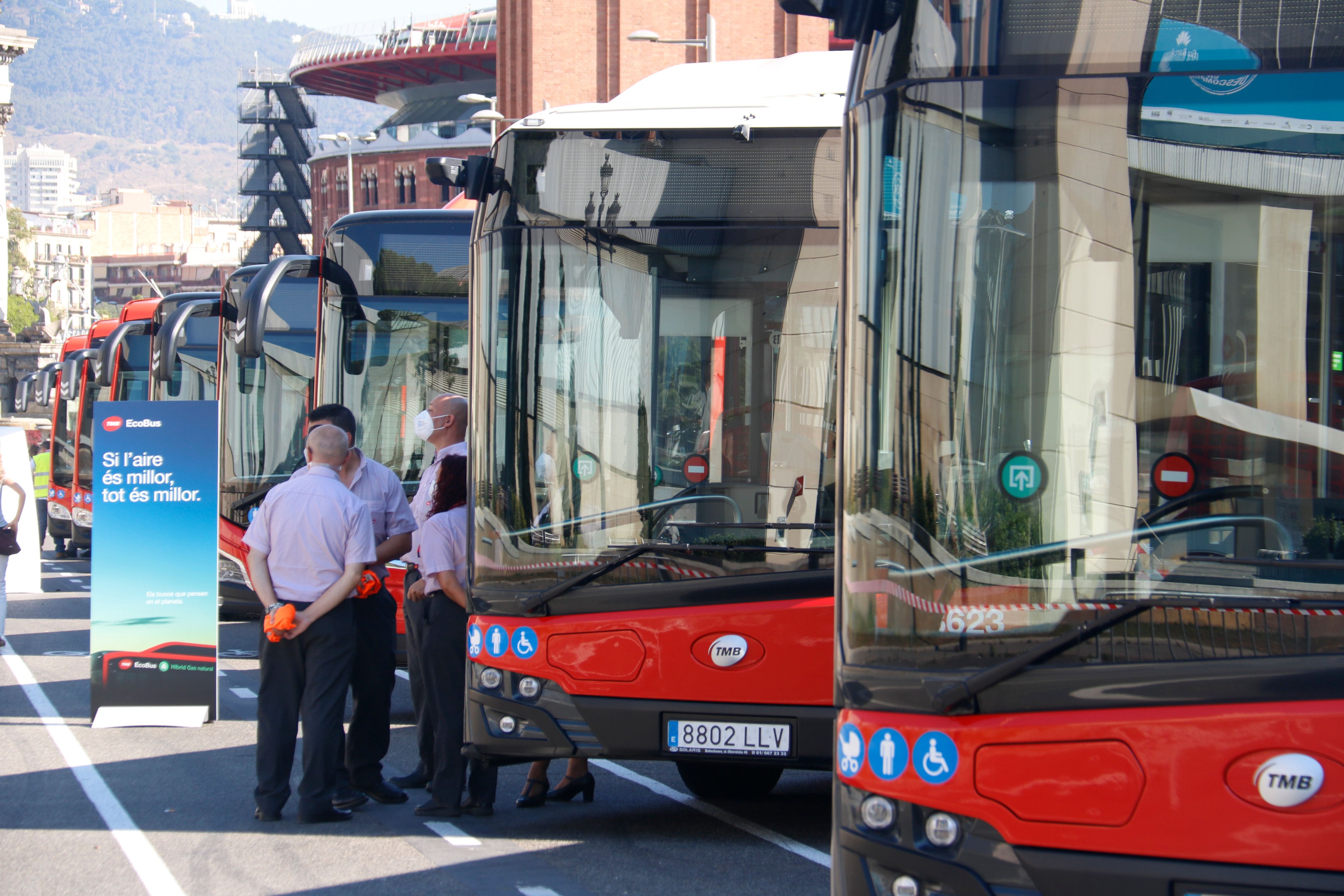 Els autobusos de TMB | ACN