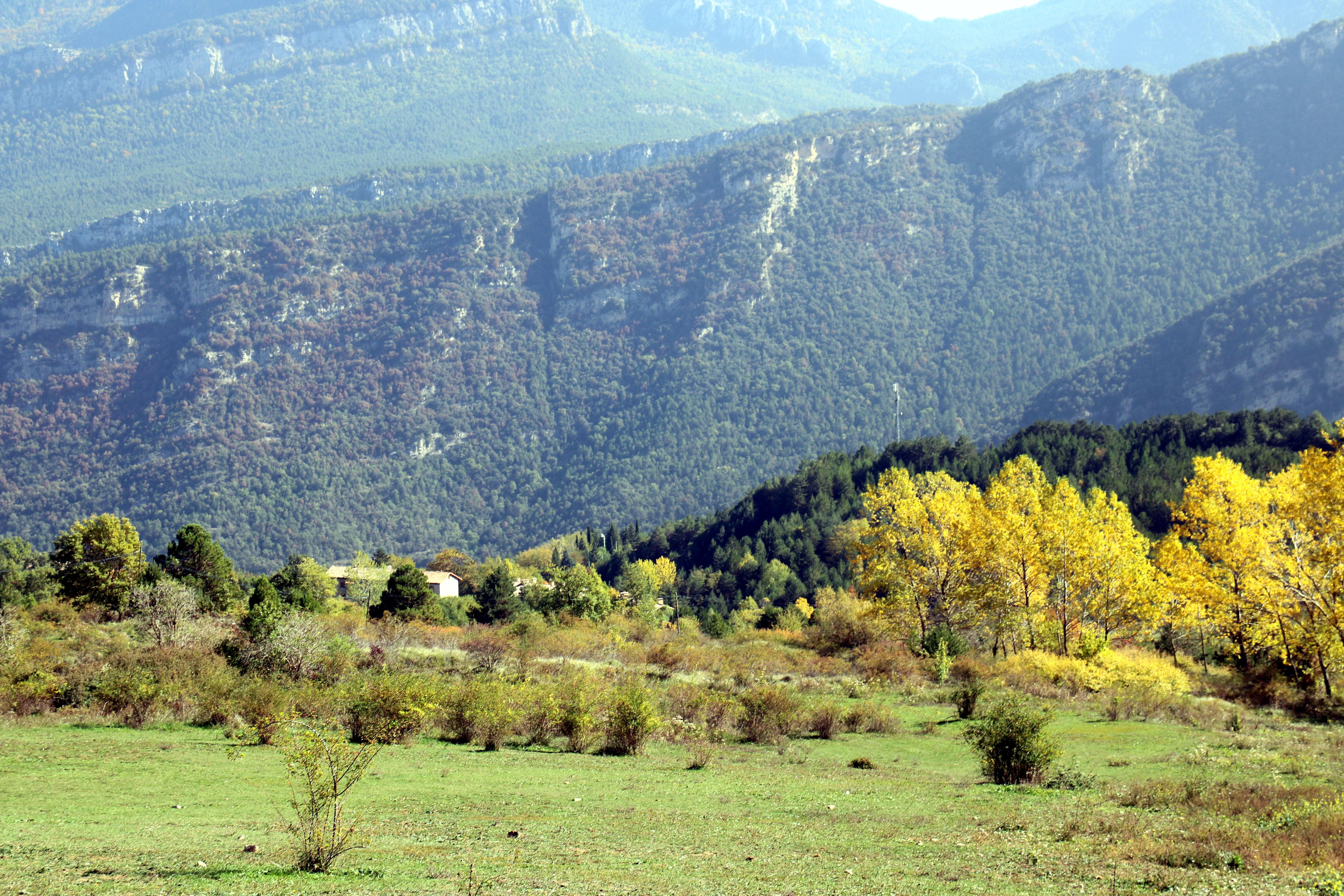 Los campos, entre Fígols y Cercs, donde se quiere ubicar la central de placas solares | ACN