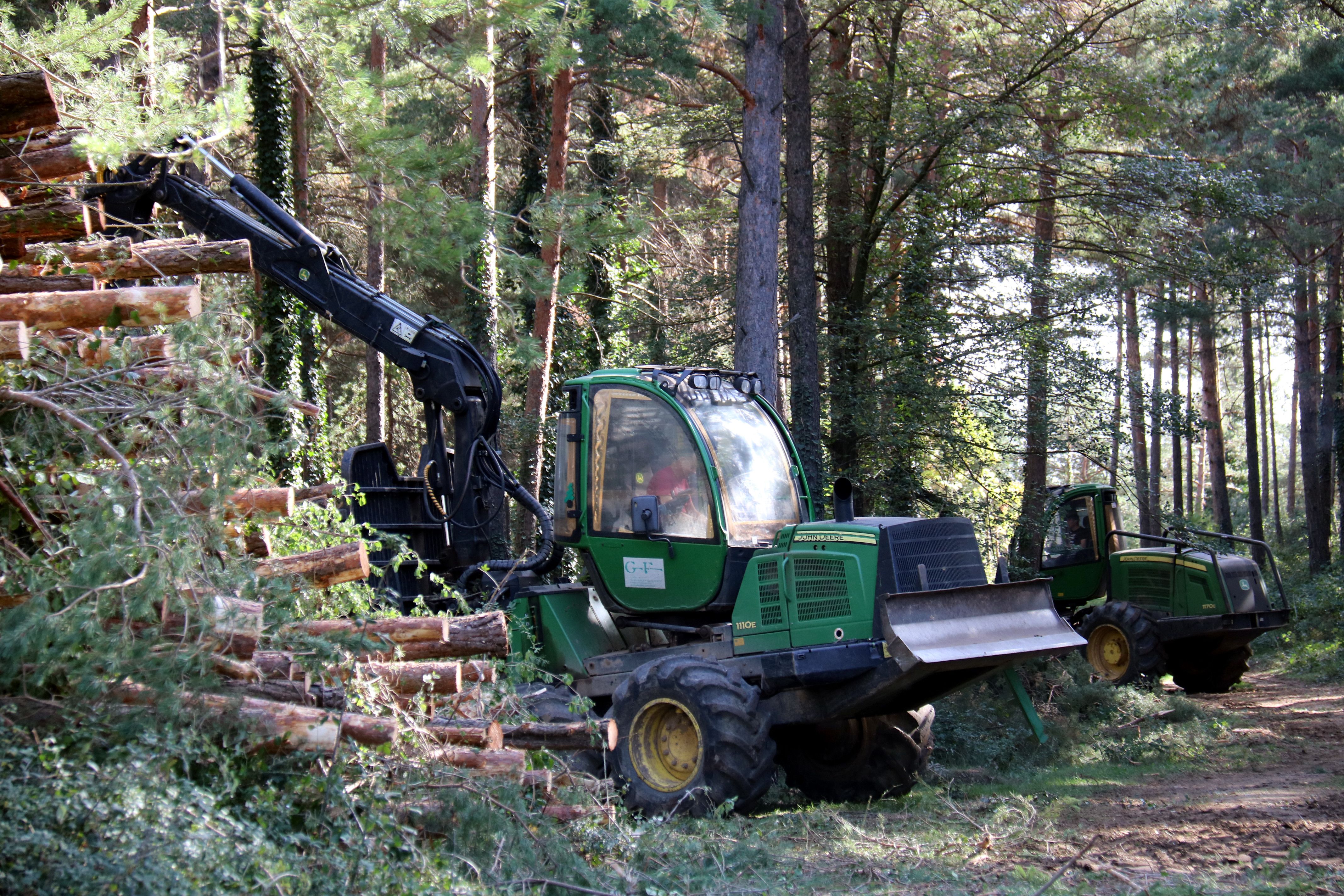 Una máquina forestal trabaja en un bosque | ACN