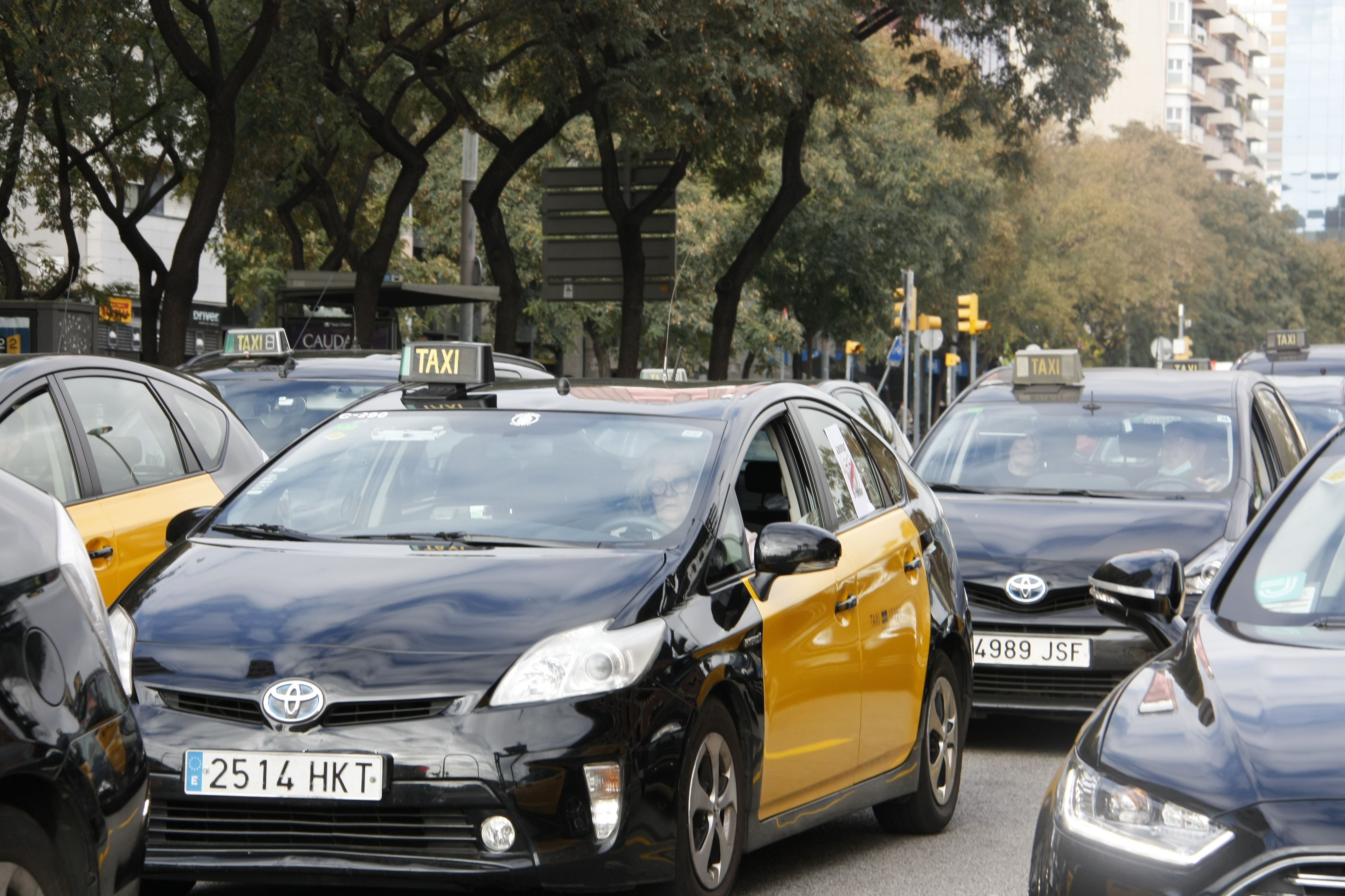 Un de cada sis xofers de Barcelona i Àrea Metropolitana són estrangers, segons el Sindicat del Taxi de Catalunya | ACN