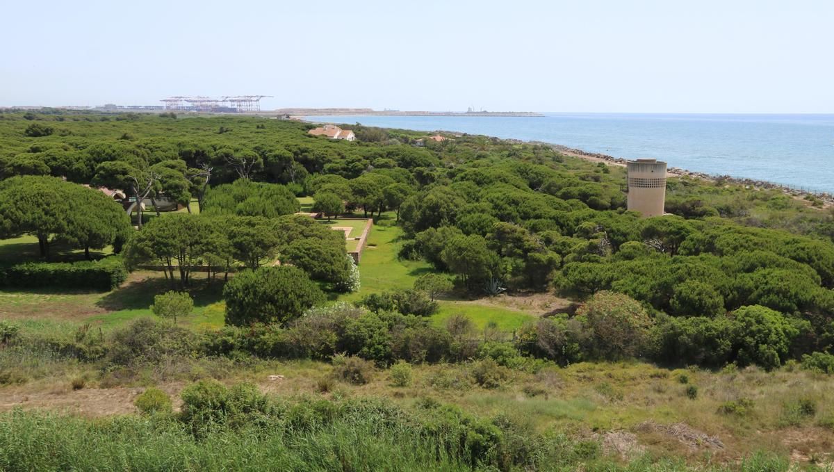 Zona d’Especial Protecció de les Aus del Baix Llobregat | ACN