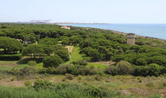 Zona d’Especial Protecció de les Aus del Baix Llobregat | ACN