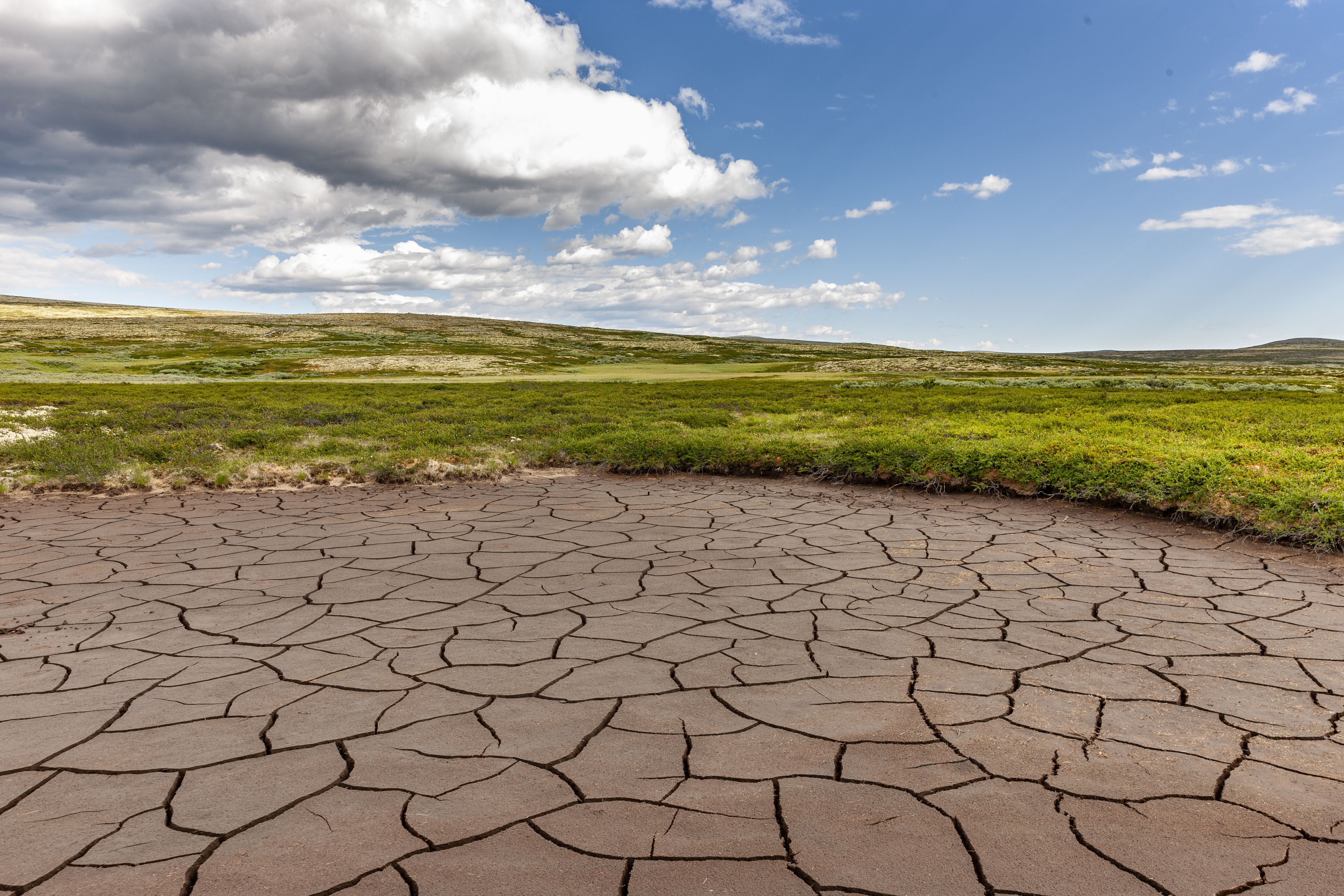 Imagen de una zona de tierra seca | iStock