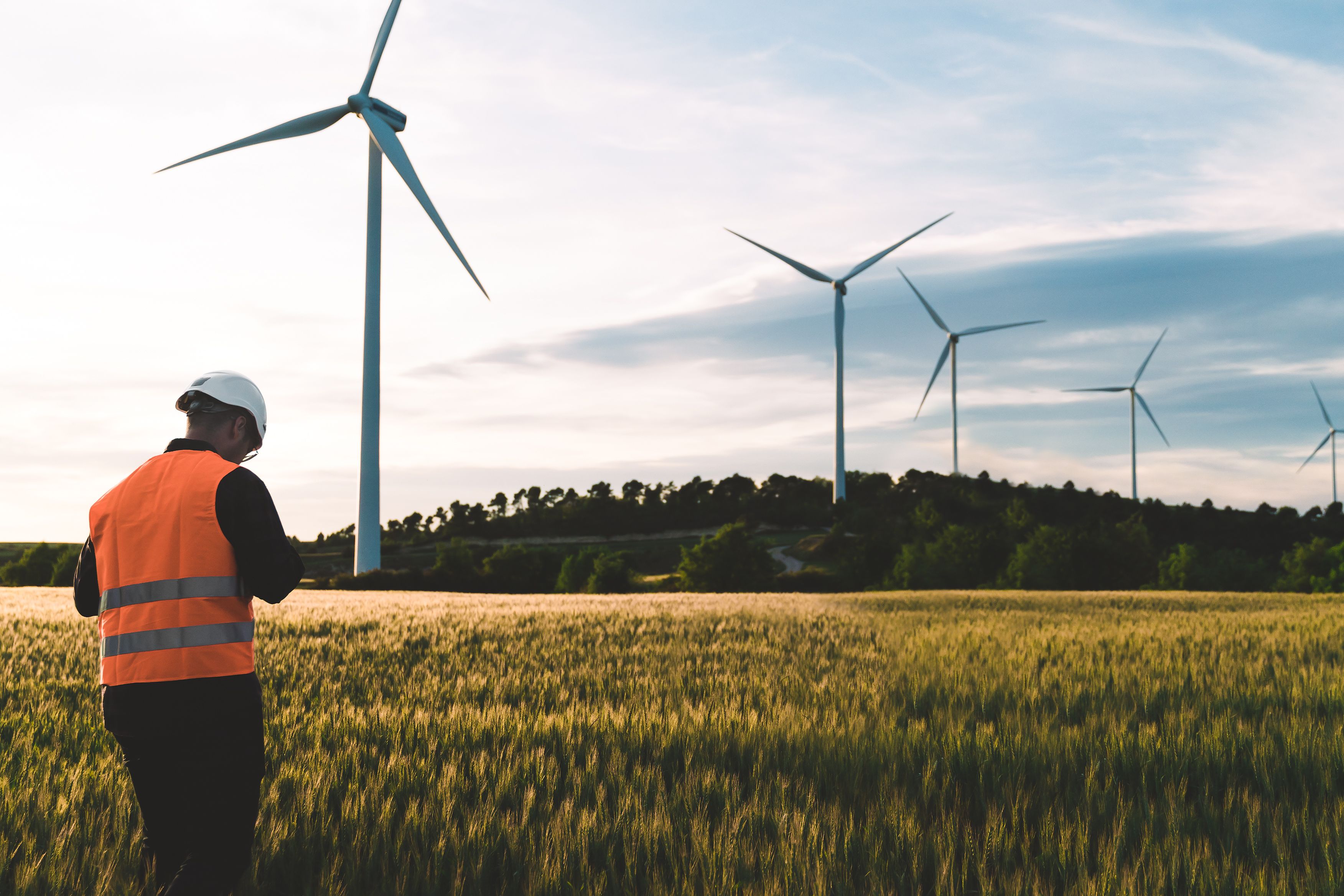 L'energia neta crearà ocupació al llarg de 2023 | iStock