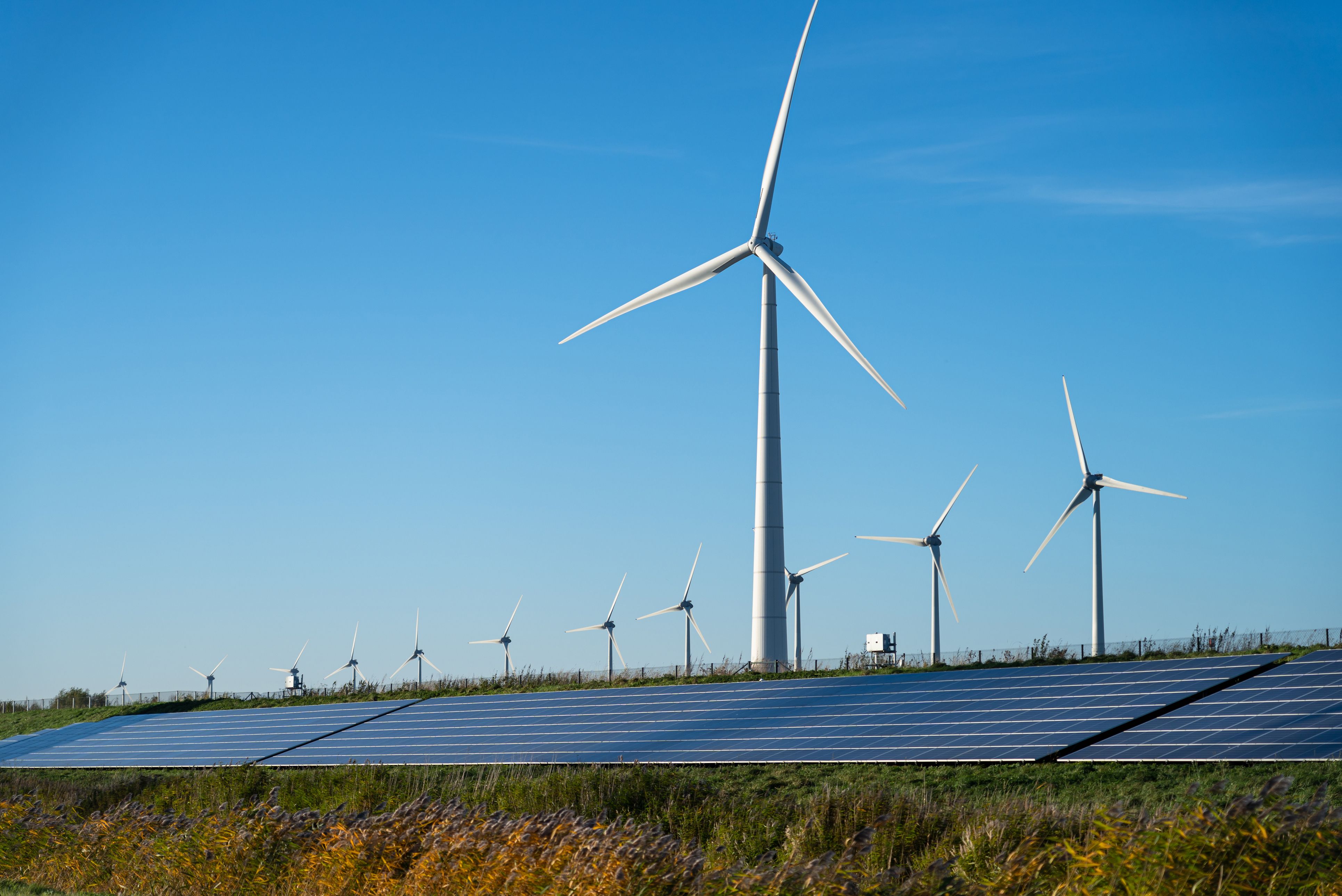 Las ayudas públicas dedicadas durante la pandemia al medio ambiente y la eficiencia energética se quedaron cortas | iStock