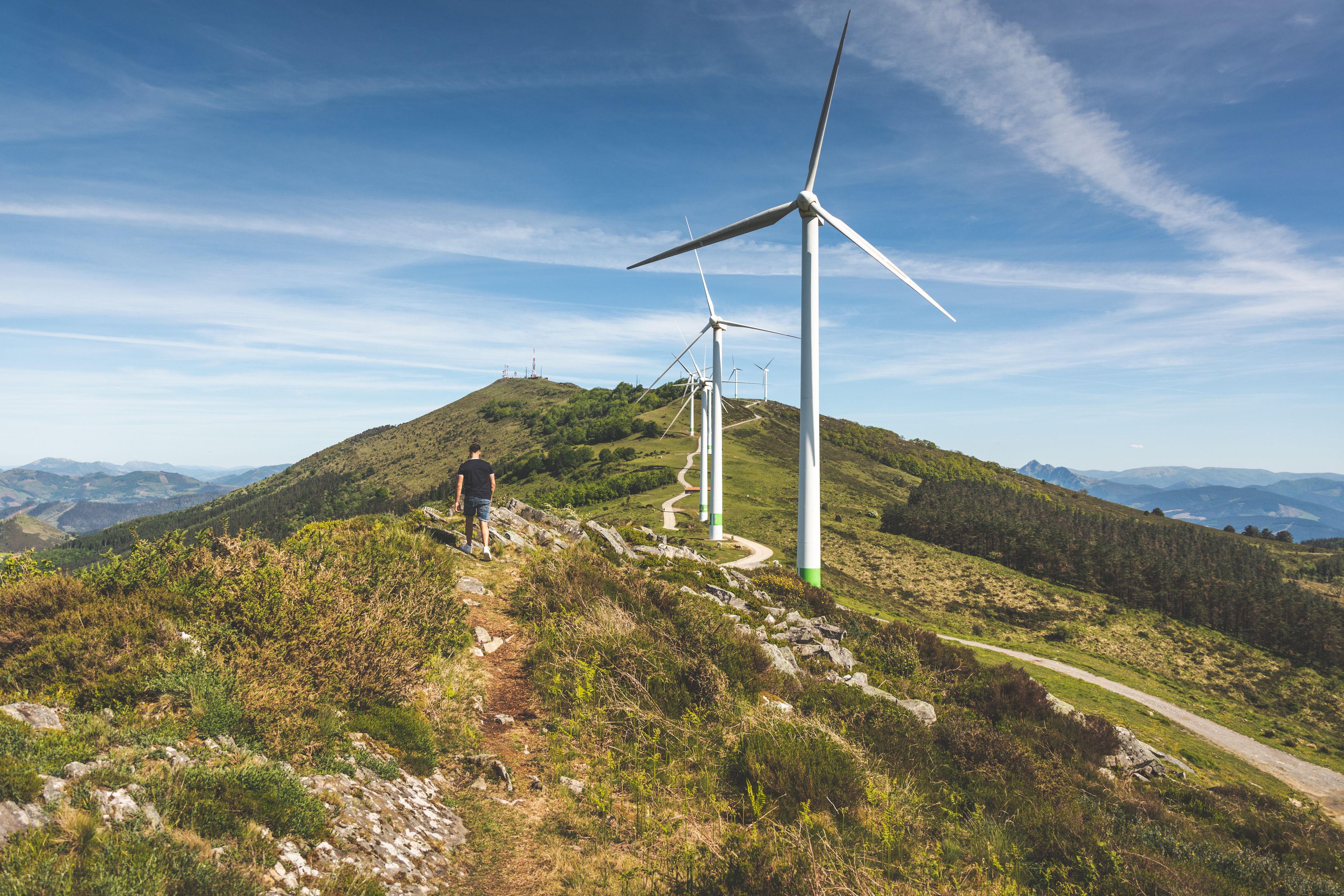 Imatge d'un parc eòlic | iStock