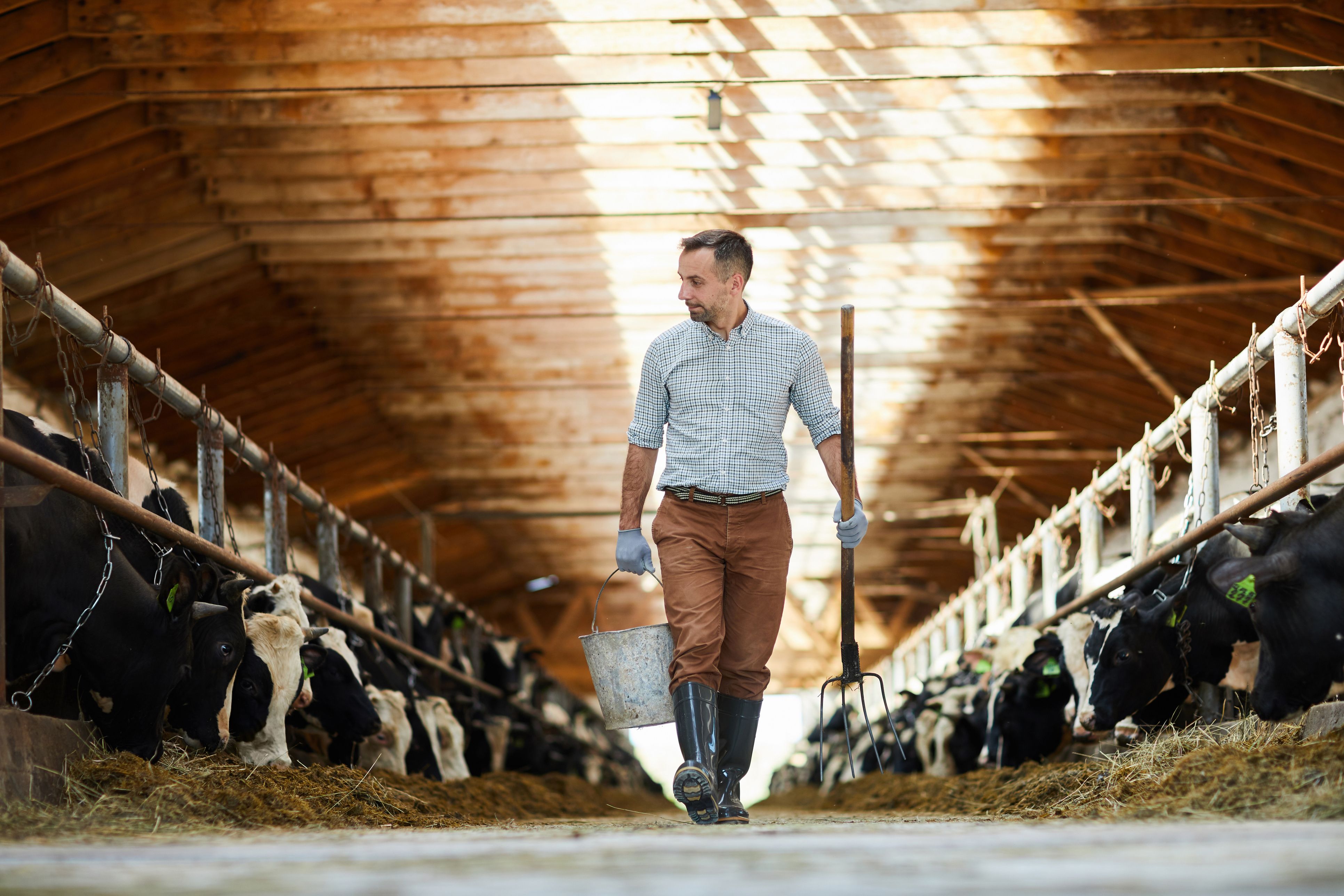 Imatge d'un jove agricultor | iStock