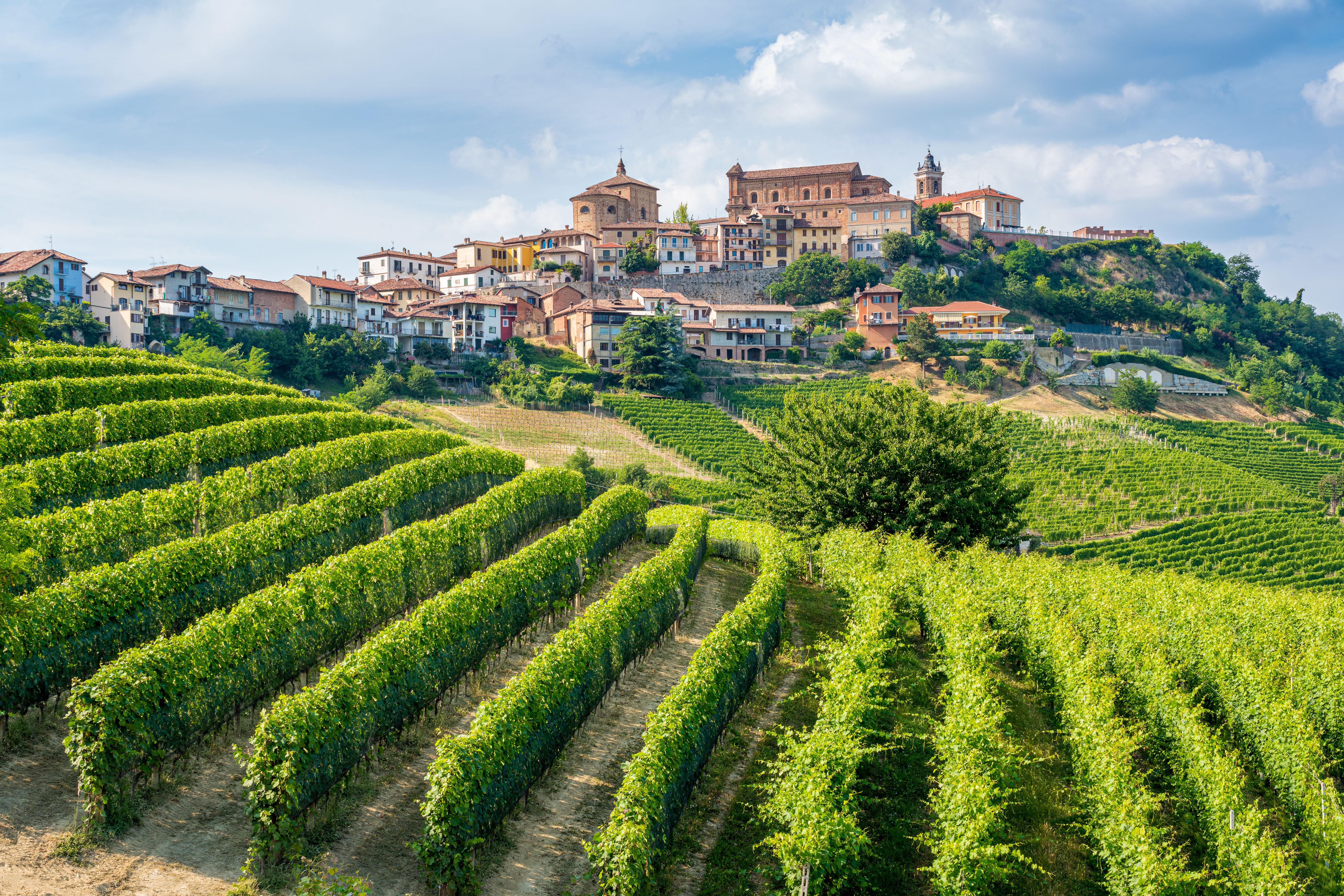 La Morra y sus viñedos en la región de Langhe de Piamonte, Italia | iStock