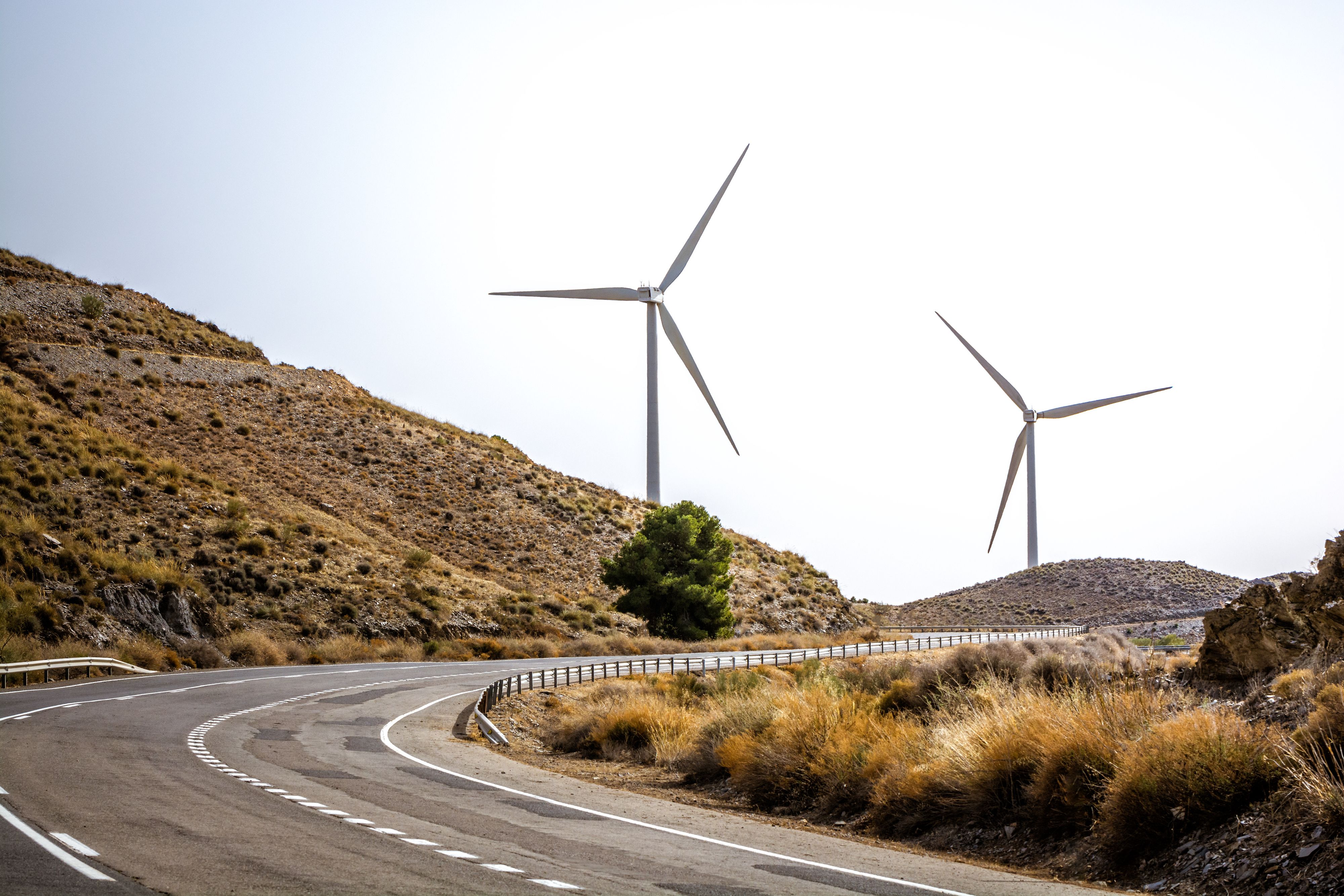 Imagen de un molino | iStock