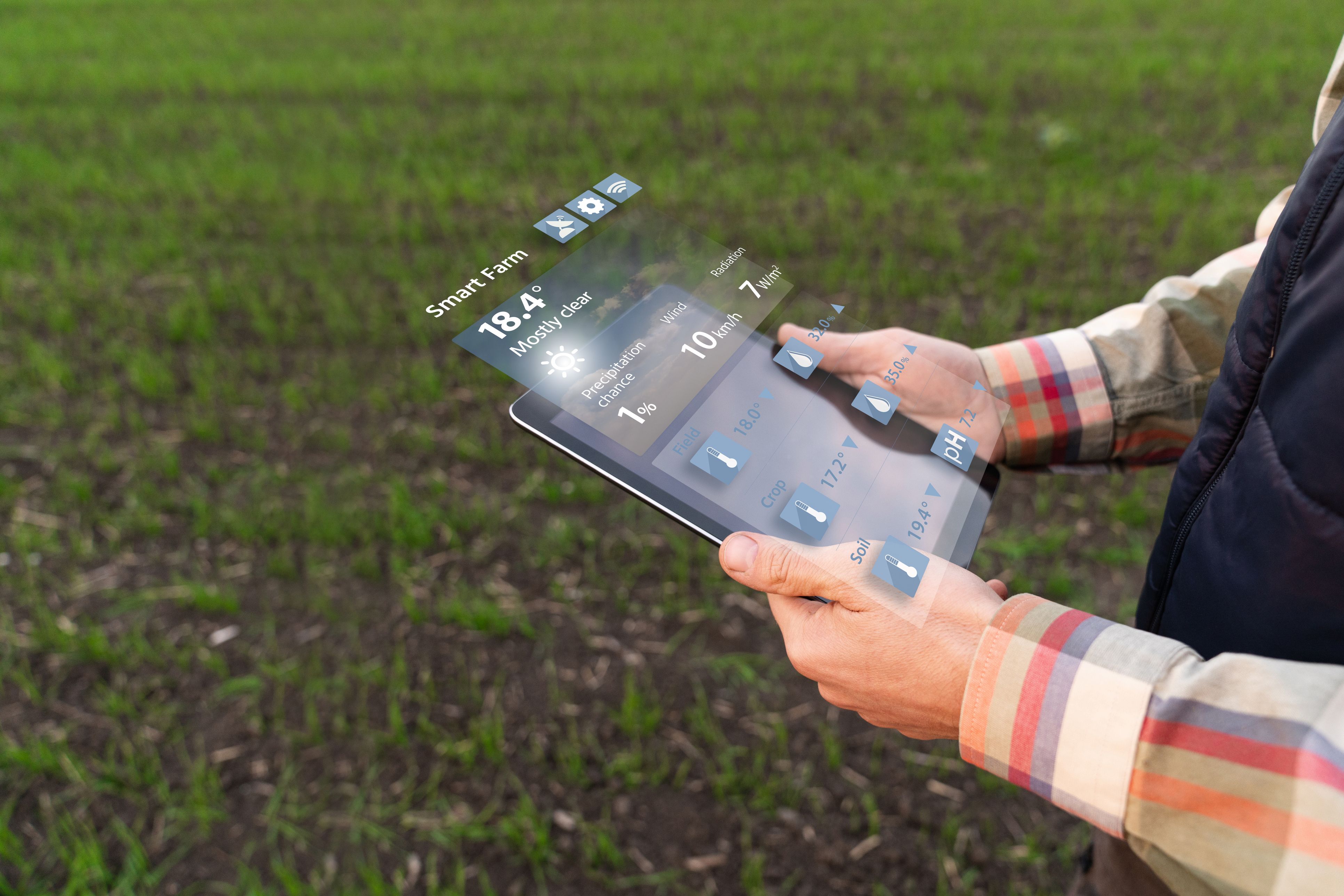 La IA pot ajudar els agricultors a optimitzar l'ús de recursos com ara l'aigua, els fertilitzants o els pesticides, mitjançant models predictius i d'anàlisi de dades en temps real | iStock